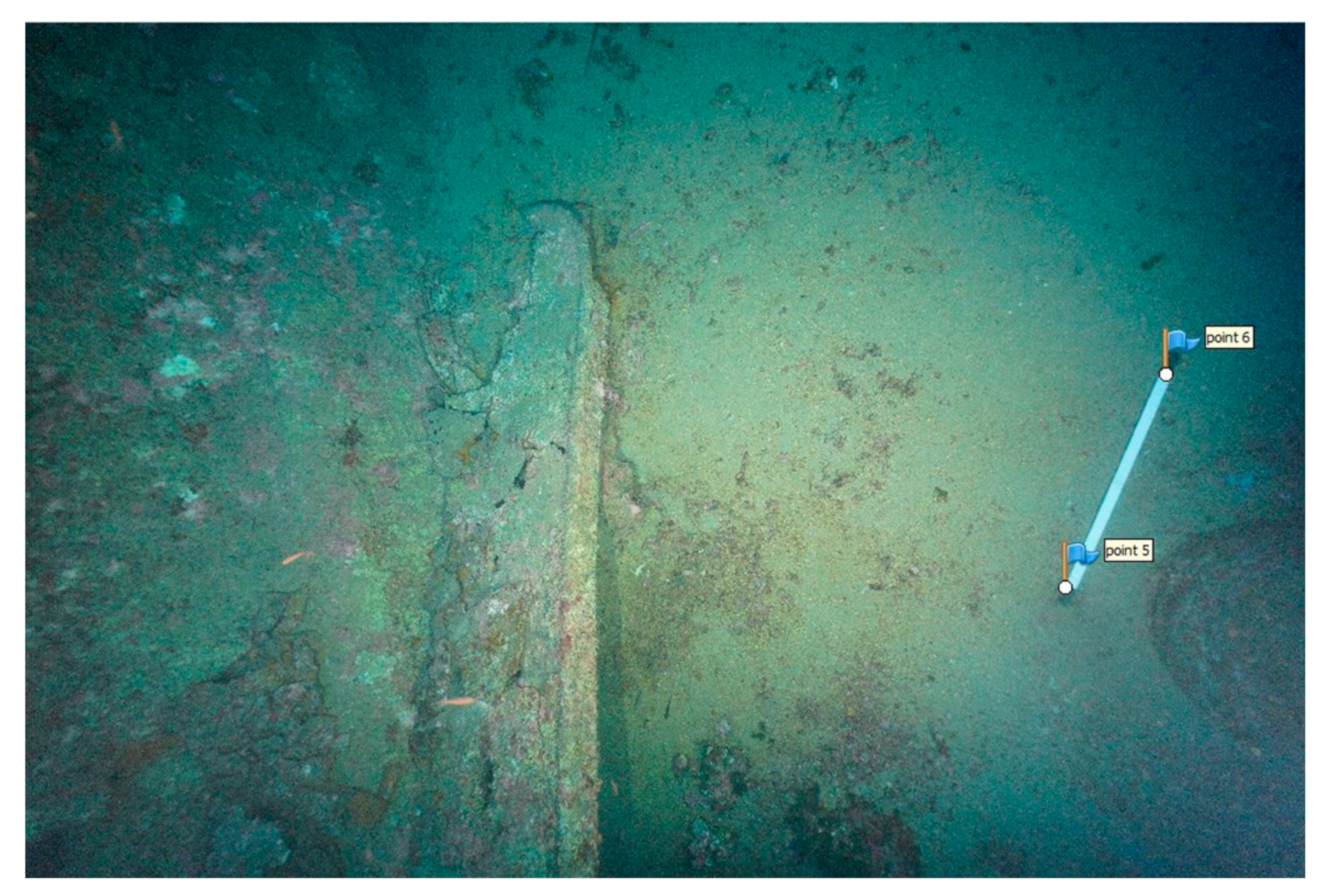 Remotesensing 13 01558 g006