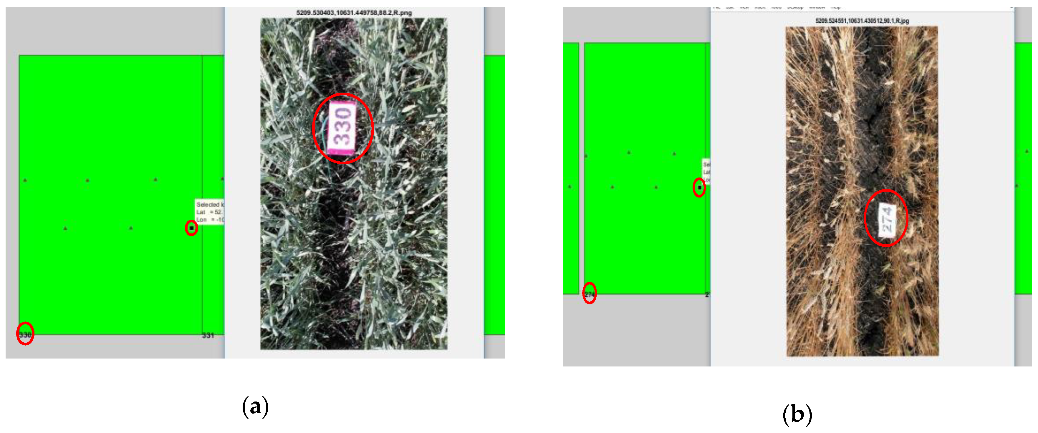 Remotesensing 13 01560 g010 Remotesensing 13 01560 g010