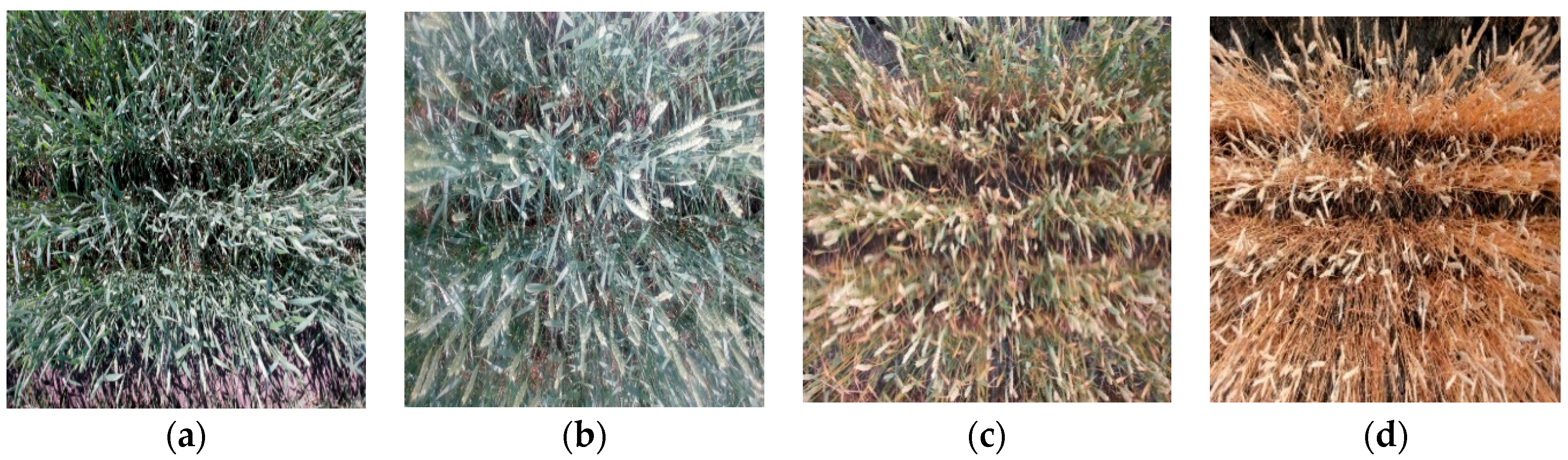 Remotesensing 13 01560 g017 Remotesensing 13 01560 g017