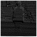 Remotesensing 13 01565 i010 Remotesensing 13 01565 i010