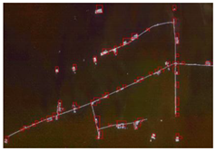 Remotesensing 13 01576 i006