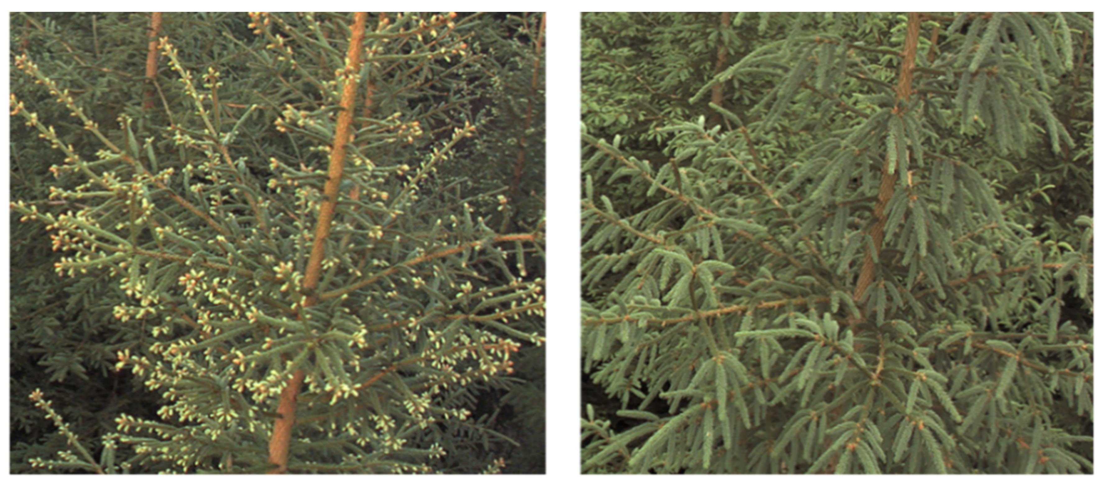 Remotesensing 13 01597 g008