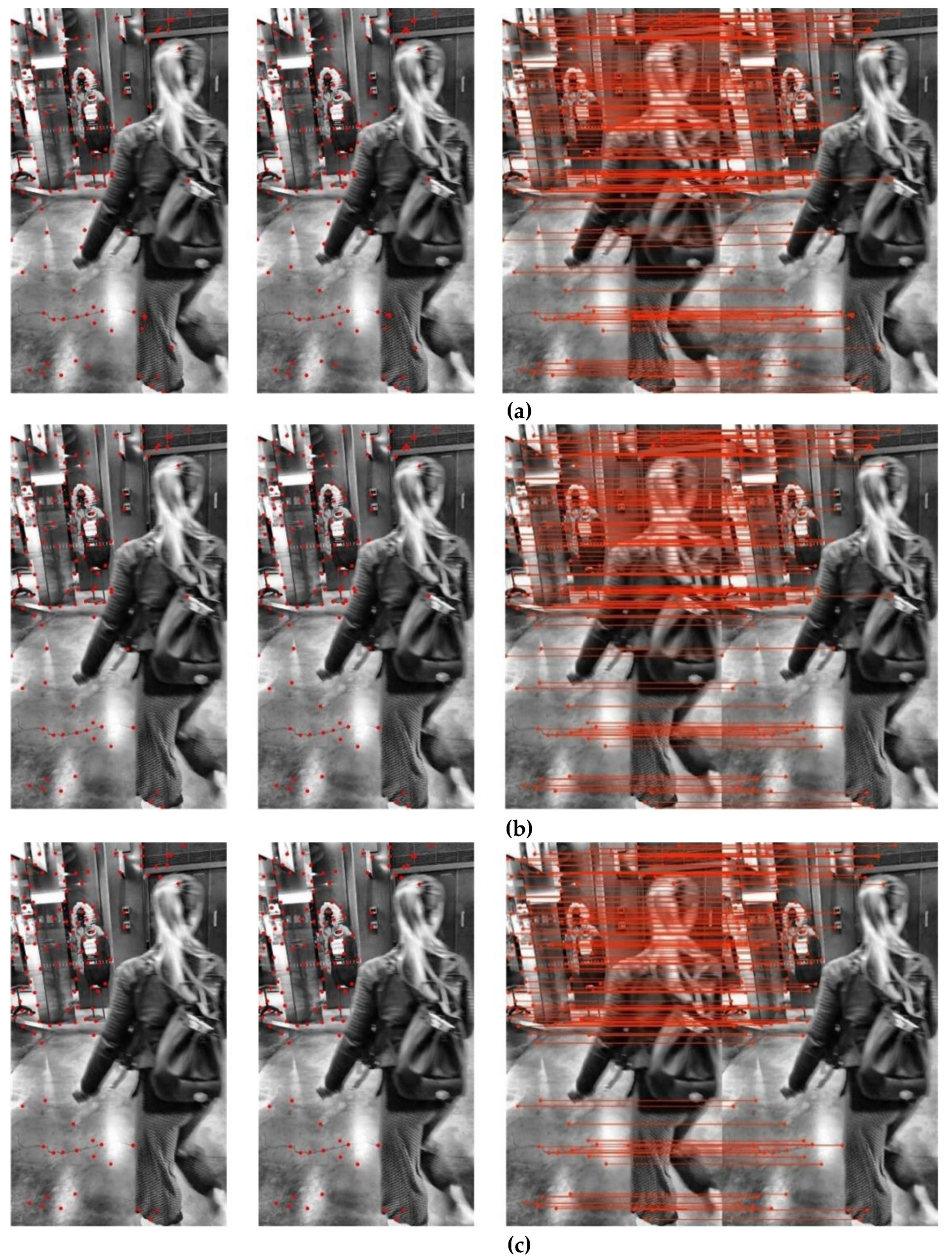 Remotesensing 13 01610 g005