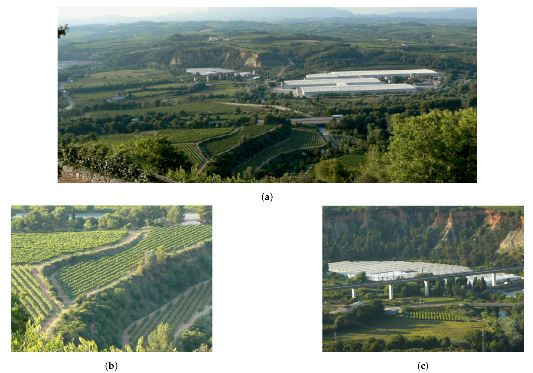 Remotesensing 13 01613 g011