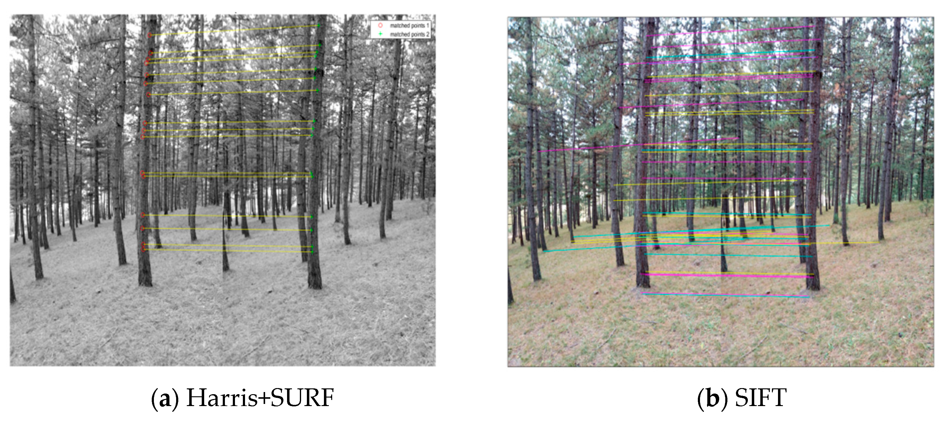 Remotesensing 13 01633 g006 Remotesensing 13 01633 g006