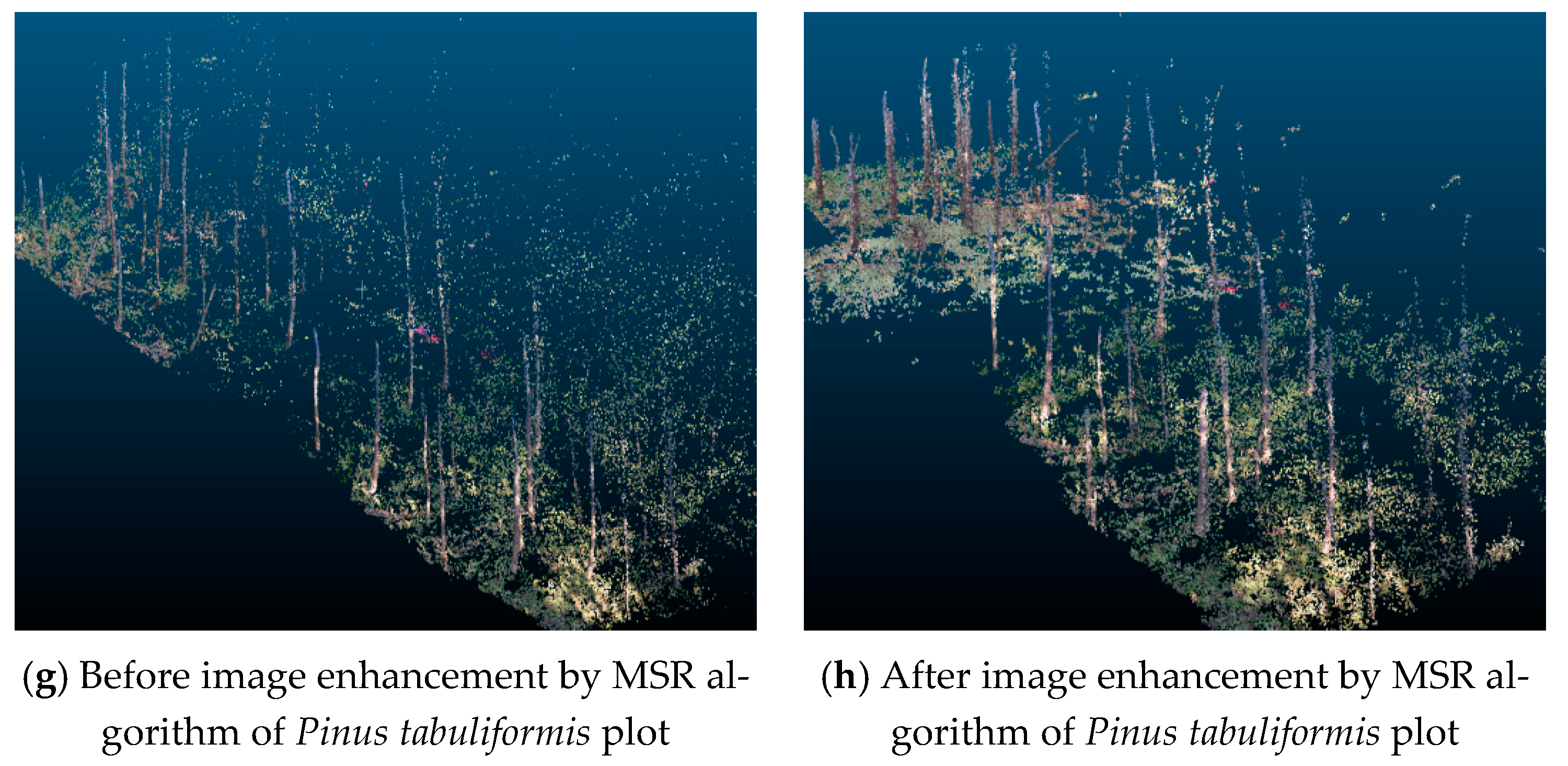 Remotesensing 13 01633 g007b Remotesensing 13 01633 g007b