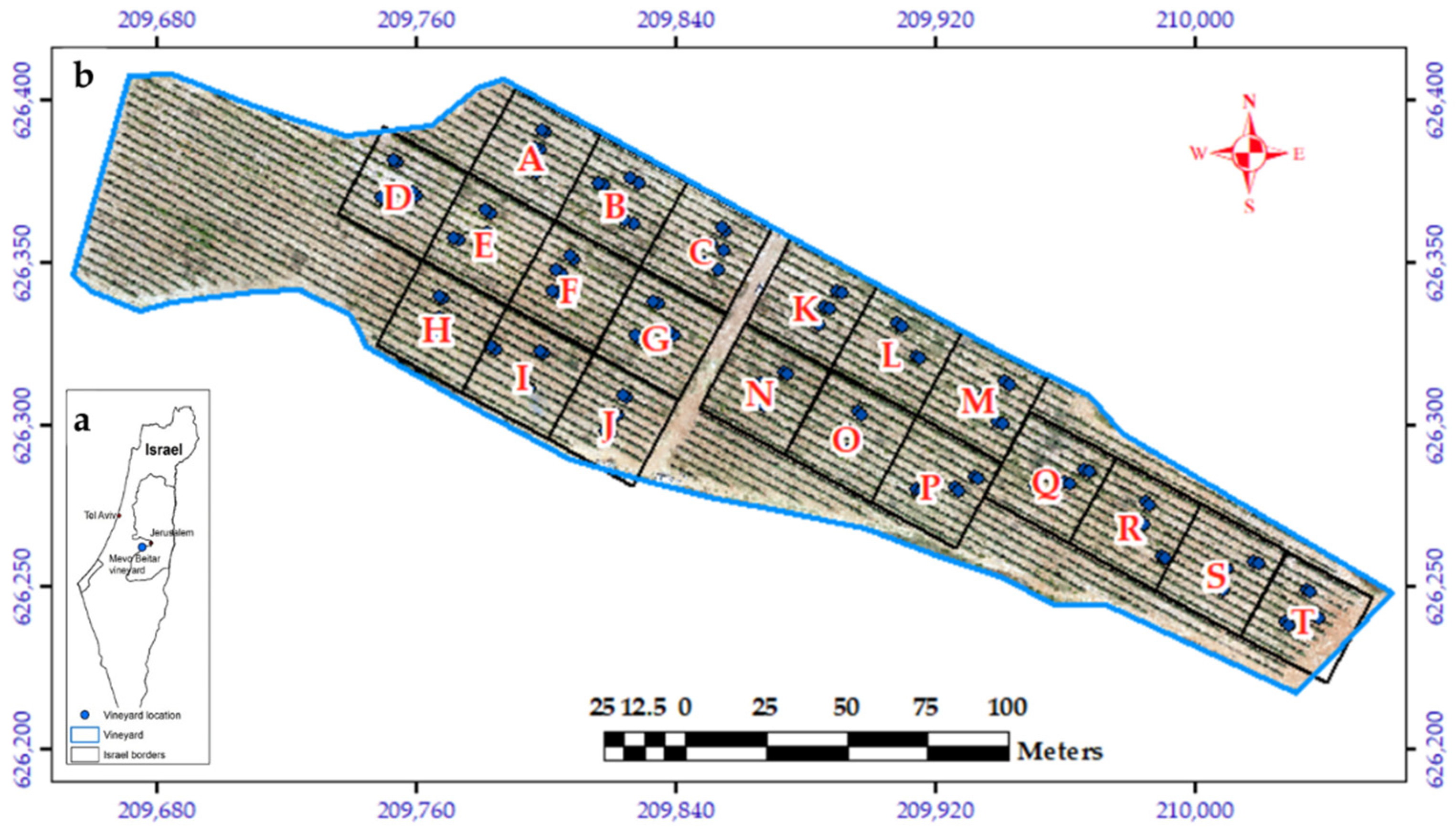 Remotesensing 13 01636 g001