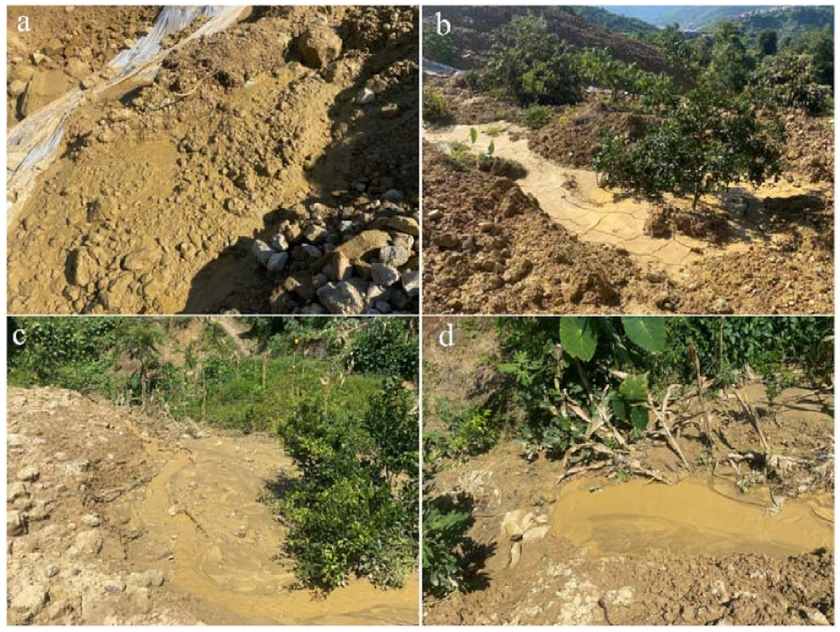 Remotesensing 13 01653 g008 Remotesensing 13 01653 g008