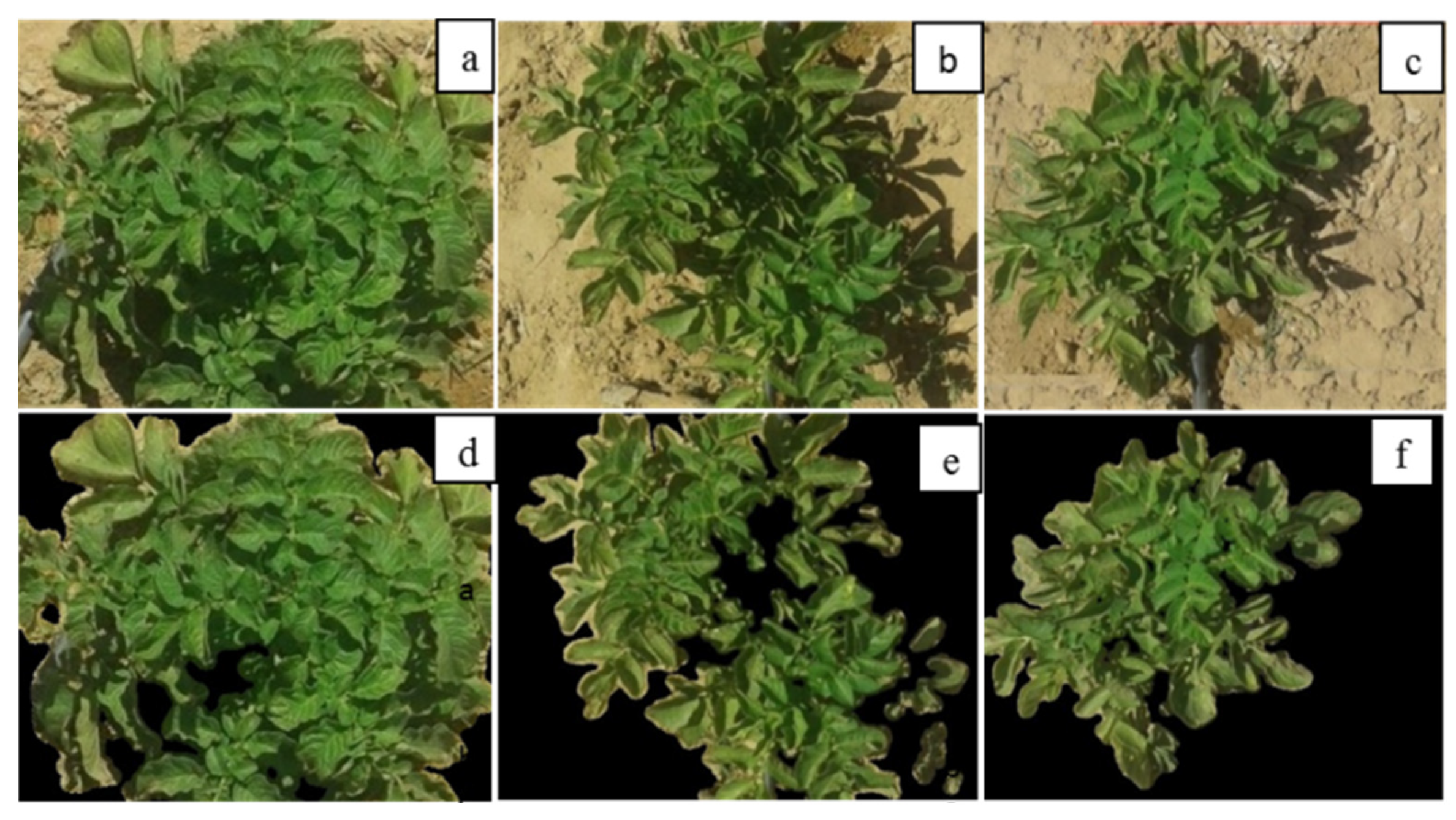 Remotesensing 13 01679 g002