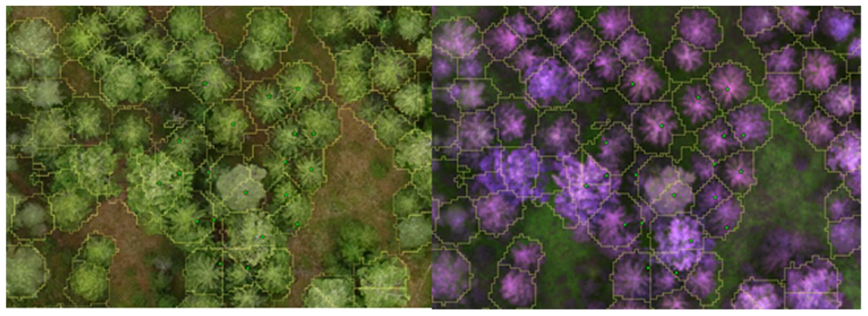 Remotesensing 13 01723 g003 Remotesensing 13 01723 g003