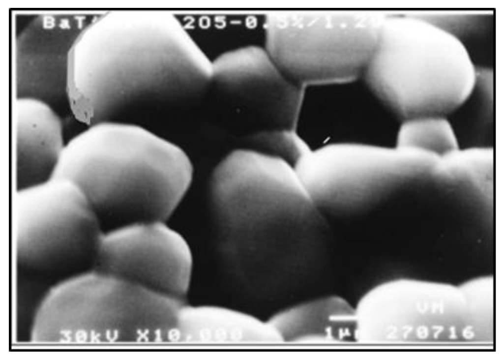 Remotesensing 13 01724 g001