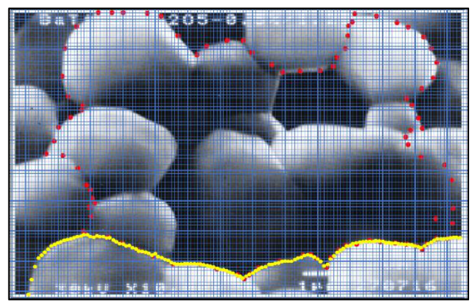 Remotesensing 13 01724 g002