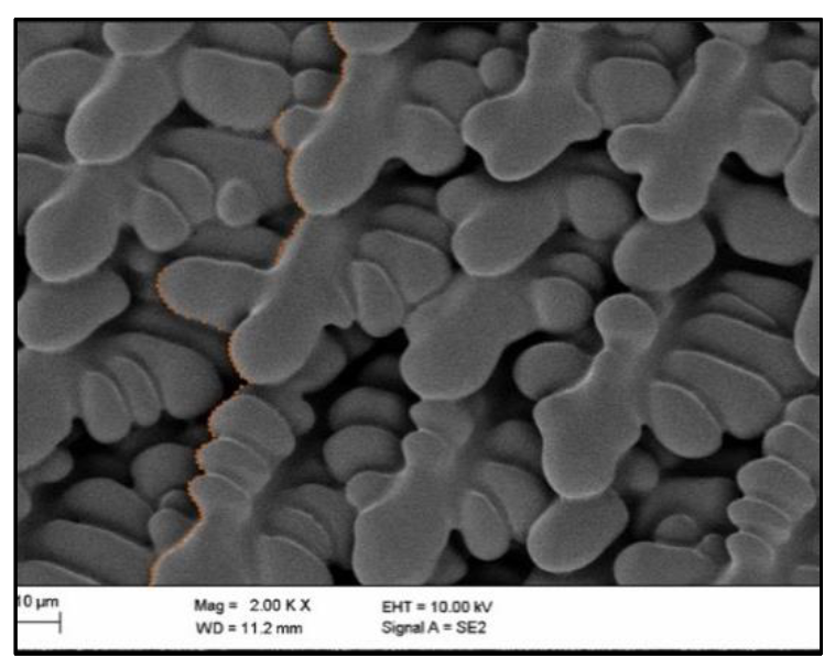 Remotesensing 13 01724 g025