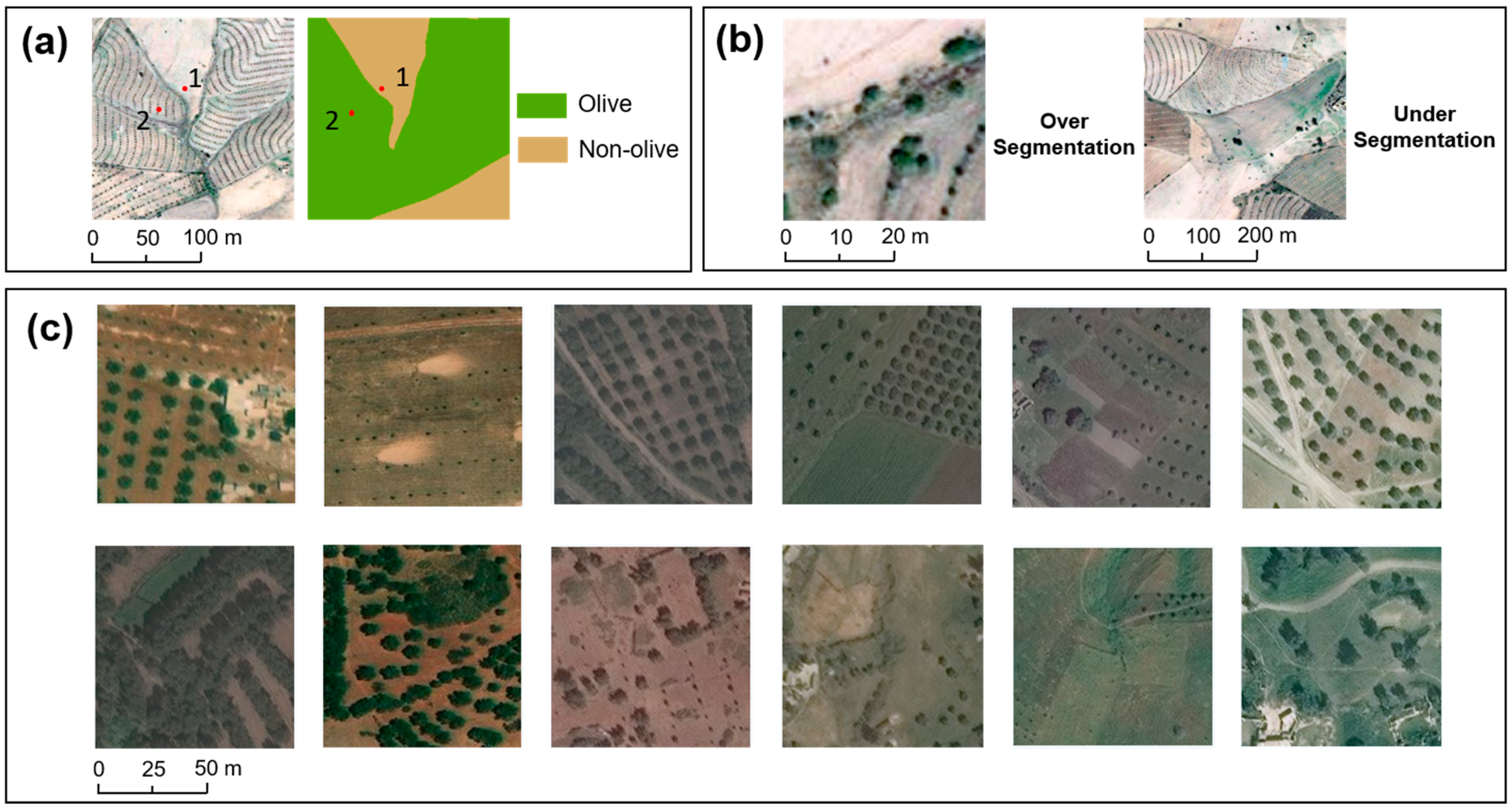 Remotesensing 13 01740 g003