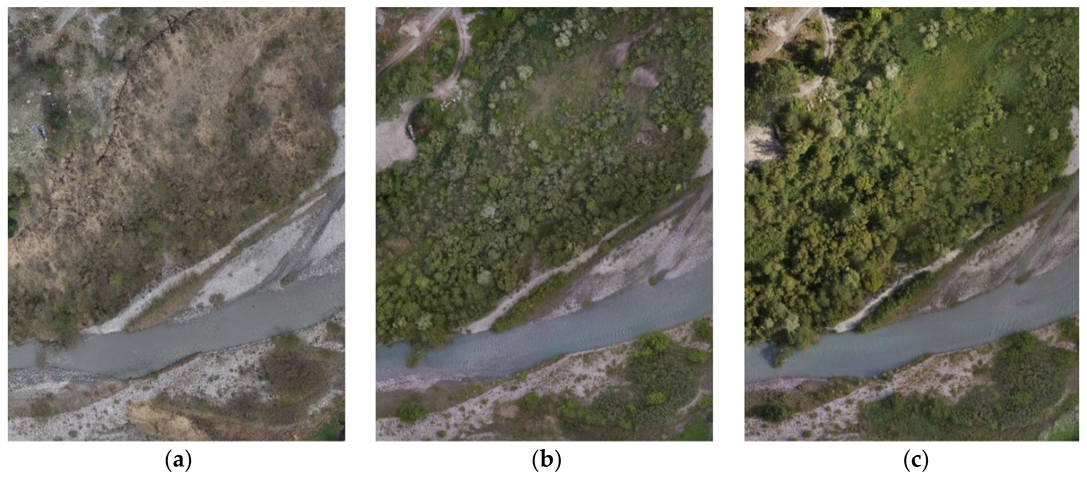 Remotesensing 13 01756 g002 Remotesensing 13 01756 g002