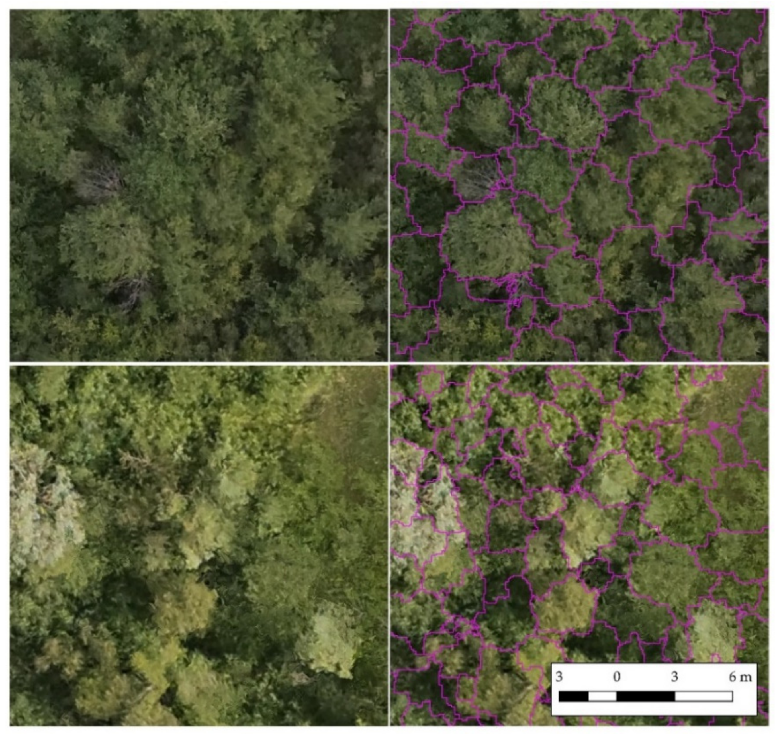 Remotesensing 13 01756 g003 Remotesensing 13 01756 g003