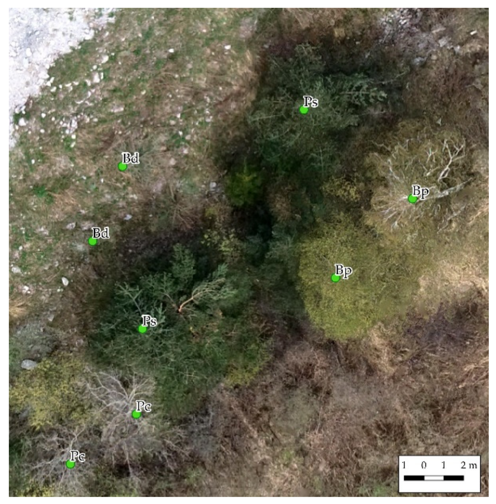 Remotesensing 13 01756 g005 Remotesensing 13 01756 g005