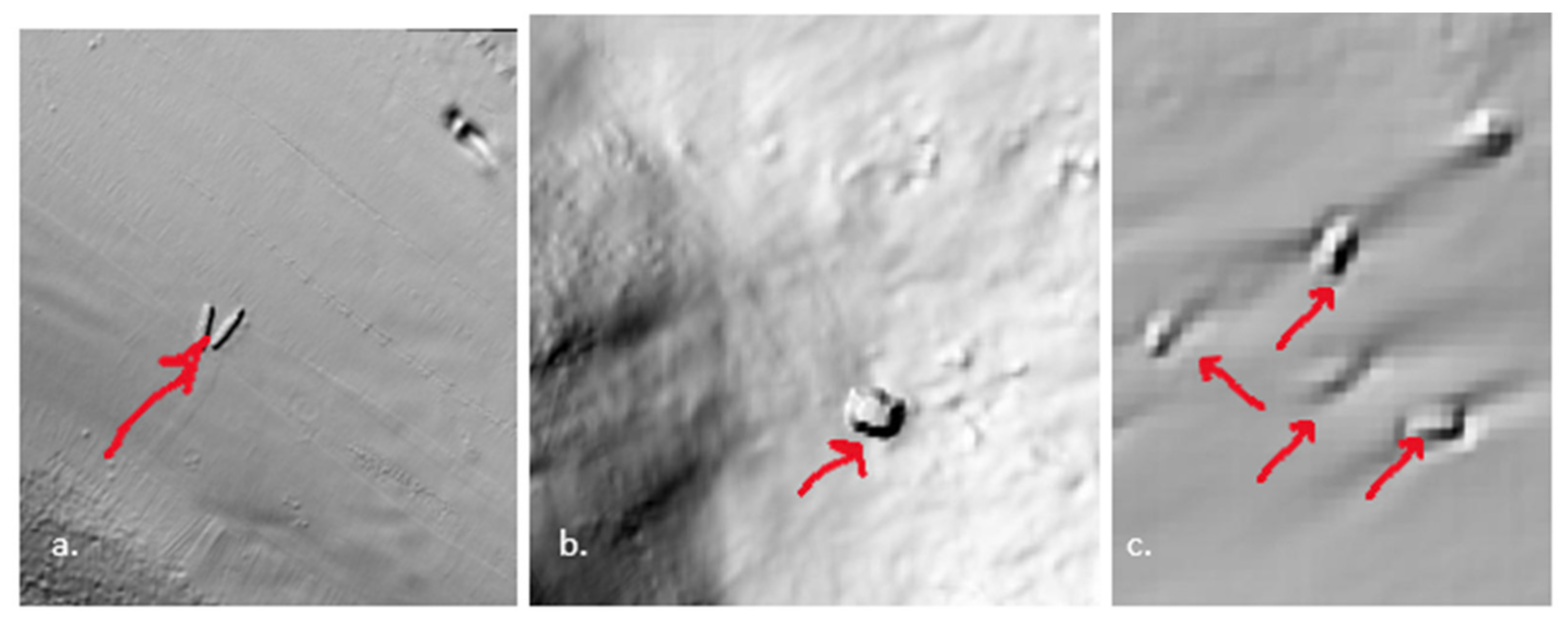 Remotesensing 13 01759 g011 Remotesensing 13 01759 g011