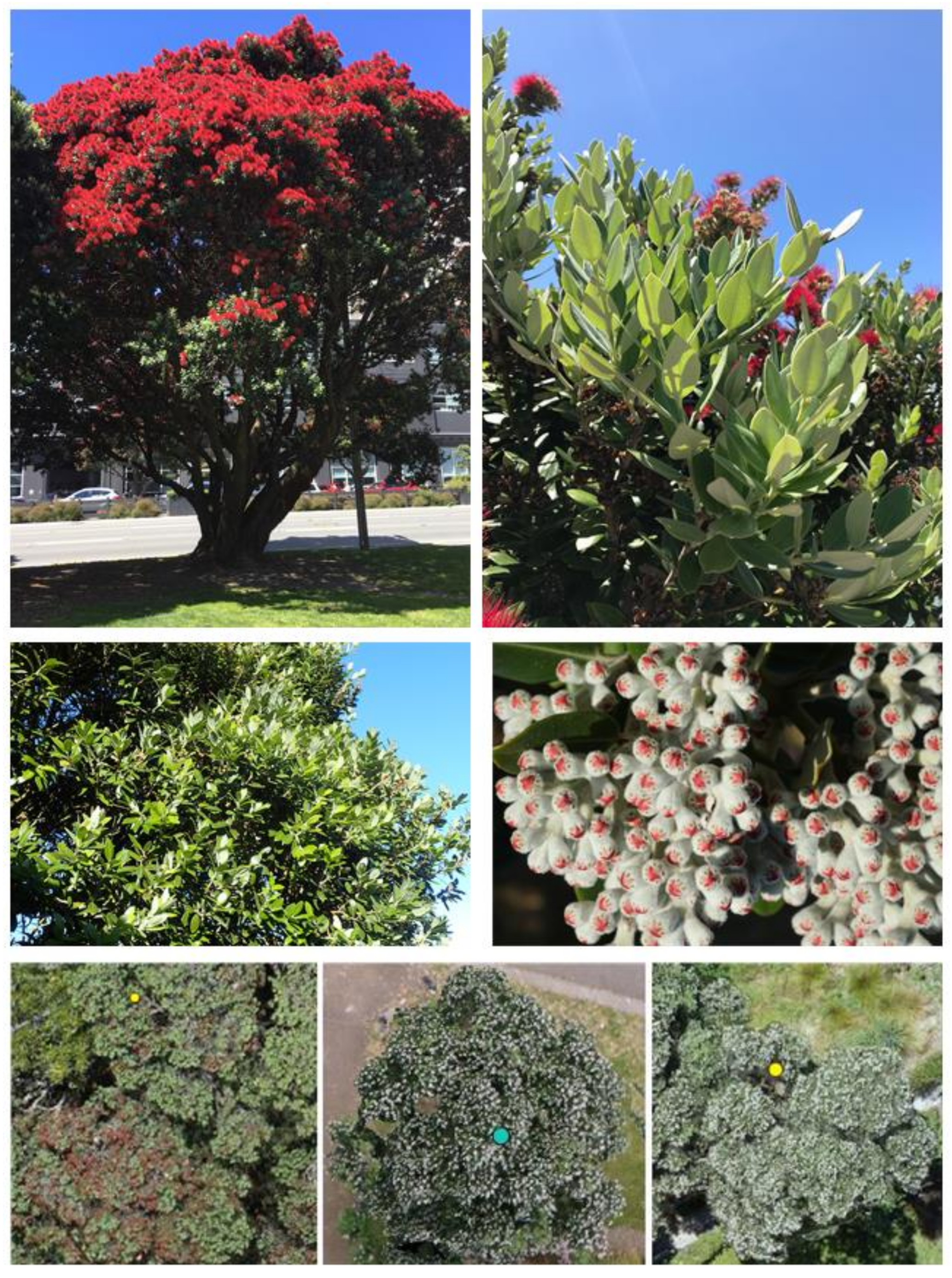 Remotesensing 13 01789 g002