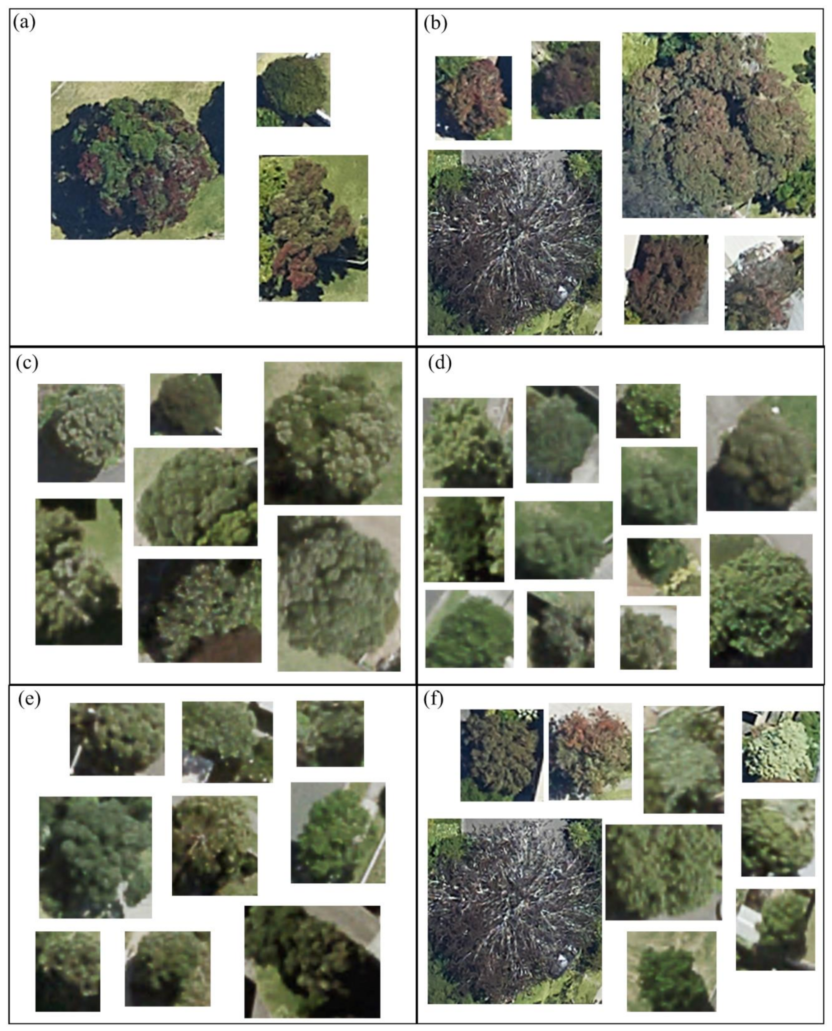 Remotesensing 13 01789 g007