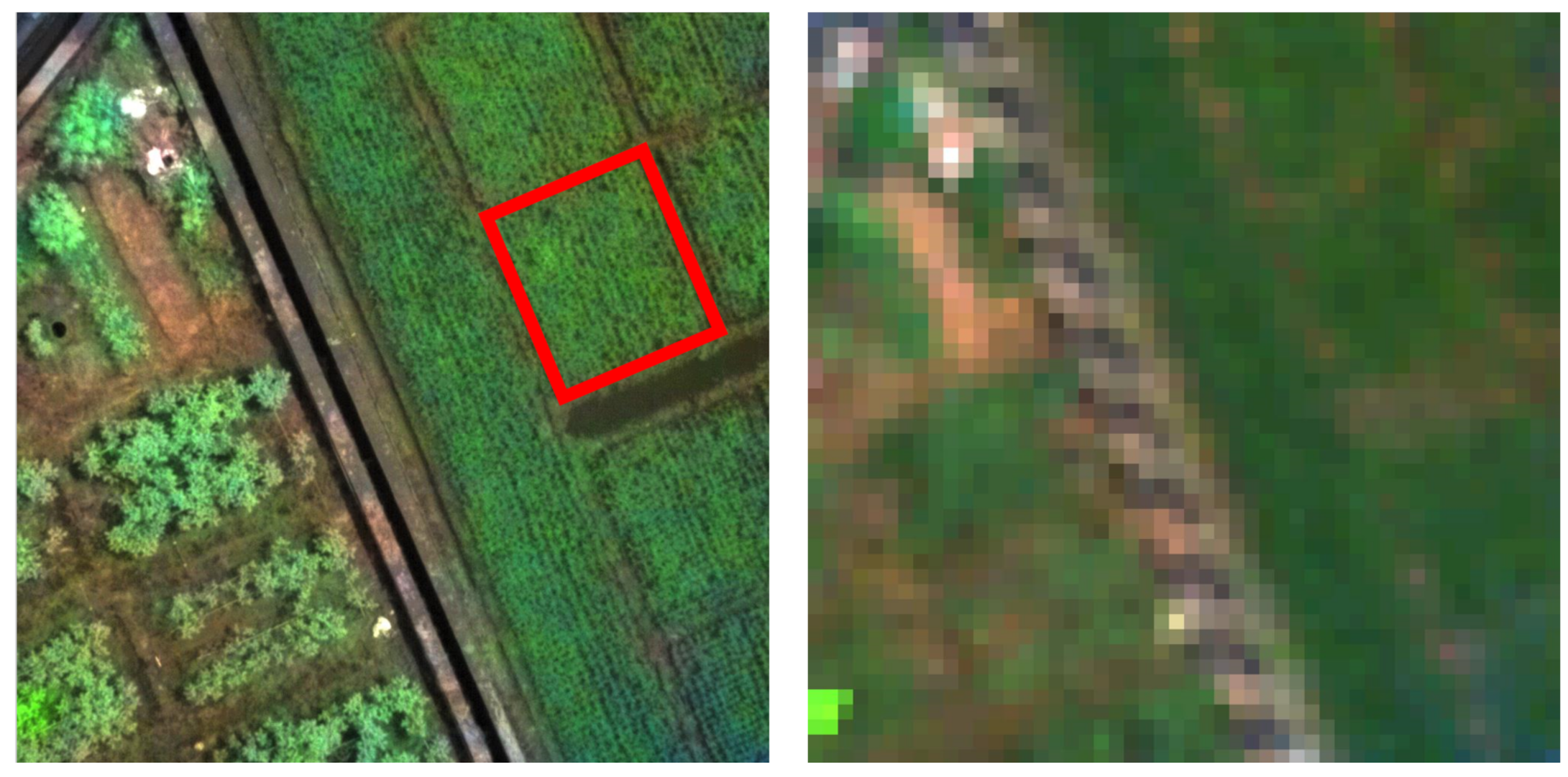 Remotesensing 13 01792 g002 Remotesensing 13 01792 g002