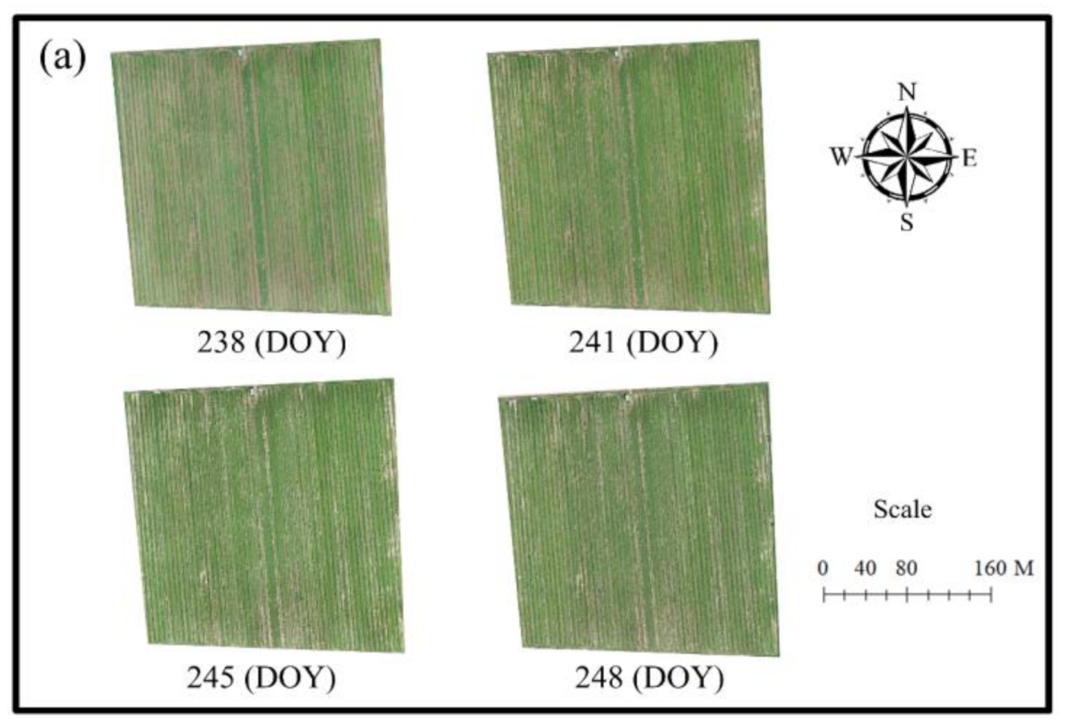 Remotesensing 13 01795 g002a