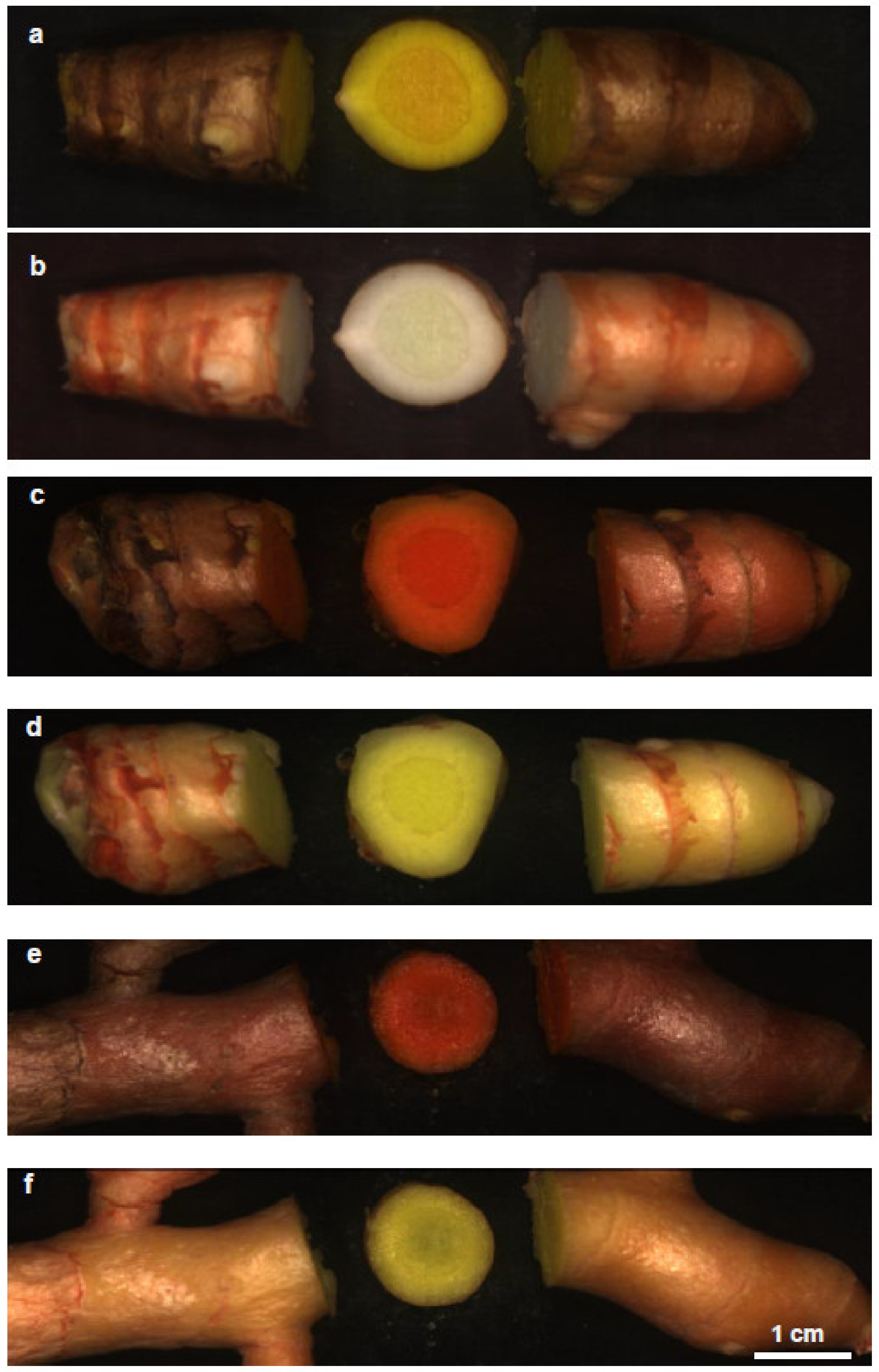 Remotesensing 13 01807 g004 Remotesensing 13 01807 g004