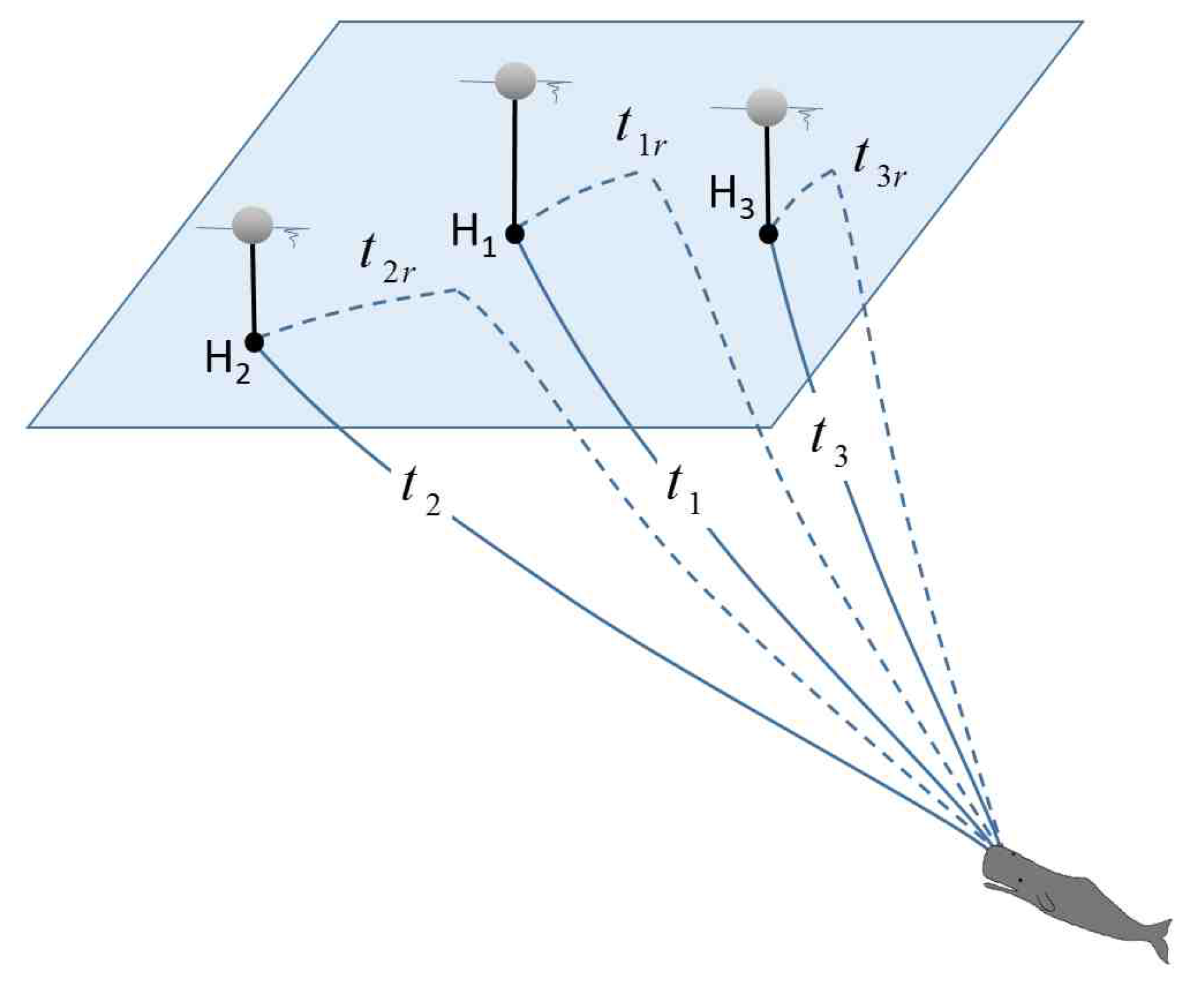 Remotesensing 13 01817 g001 Remotesensing 13 01817 g001
