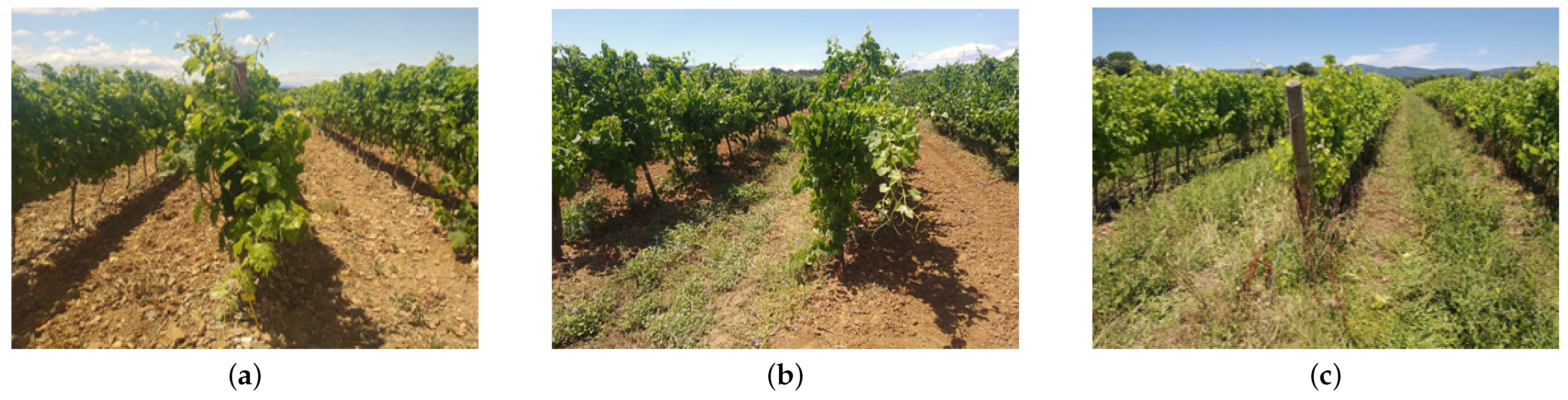 Remotesensing 13 01837 g003 Remotesensing 13 01837 g003