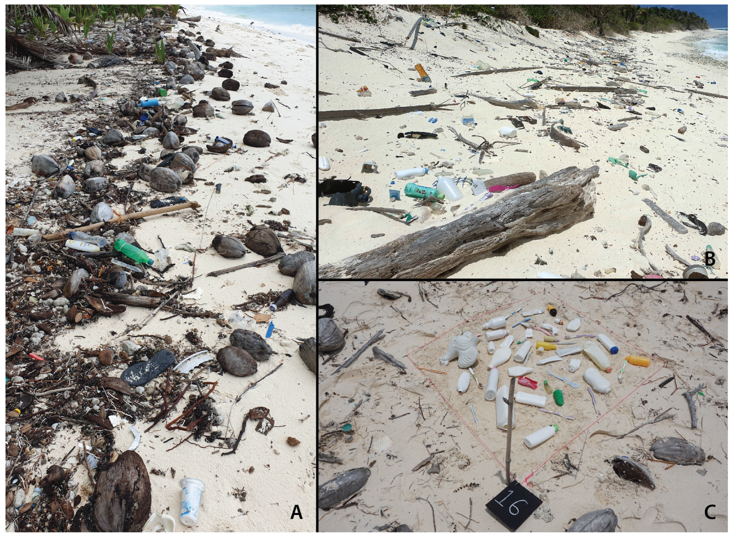 Remotesensing 13 01850 g002 Remotesensing 13 01850 g002