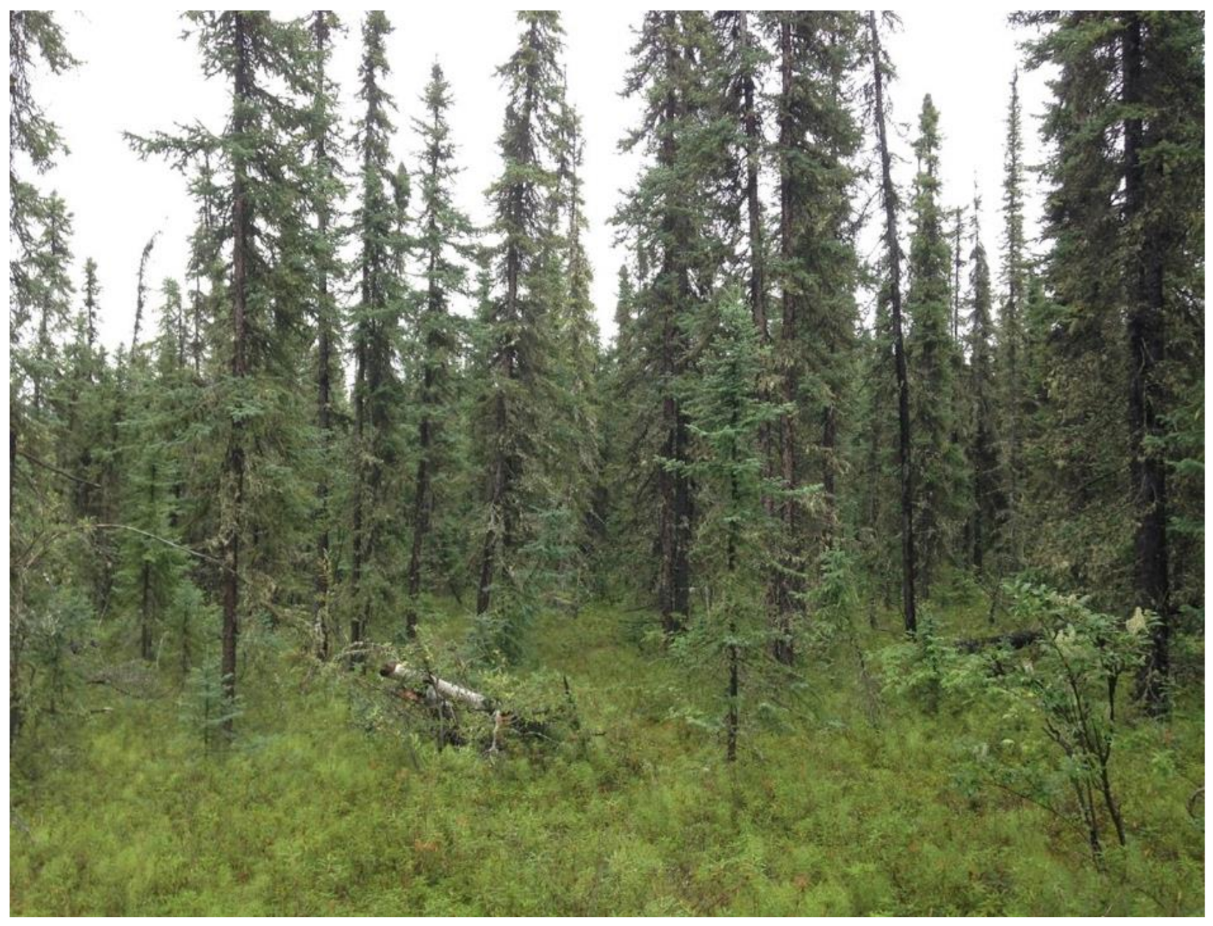 Remotesensing 13 01863 g002