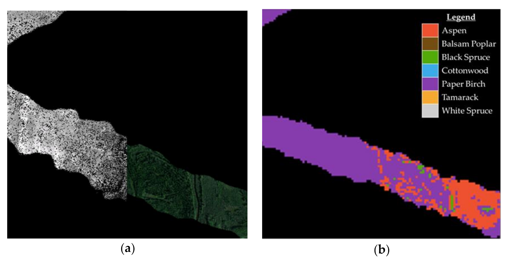 Remotesensing 13 01863 g004