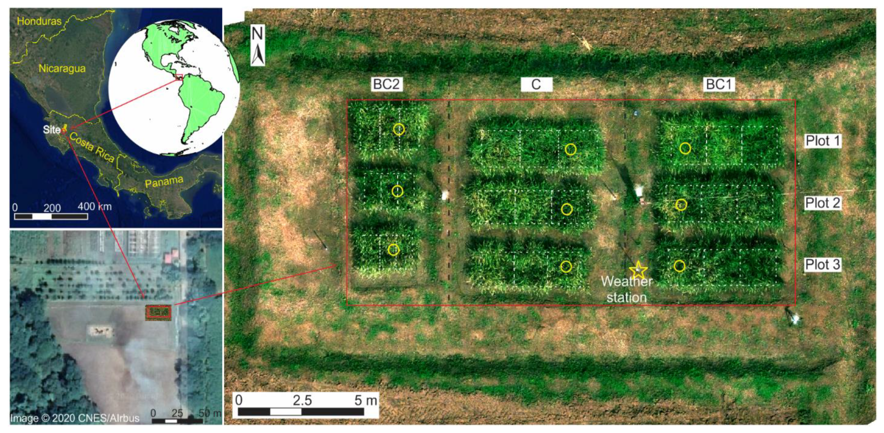 Remotesensing 13 01866 g001