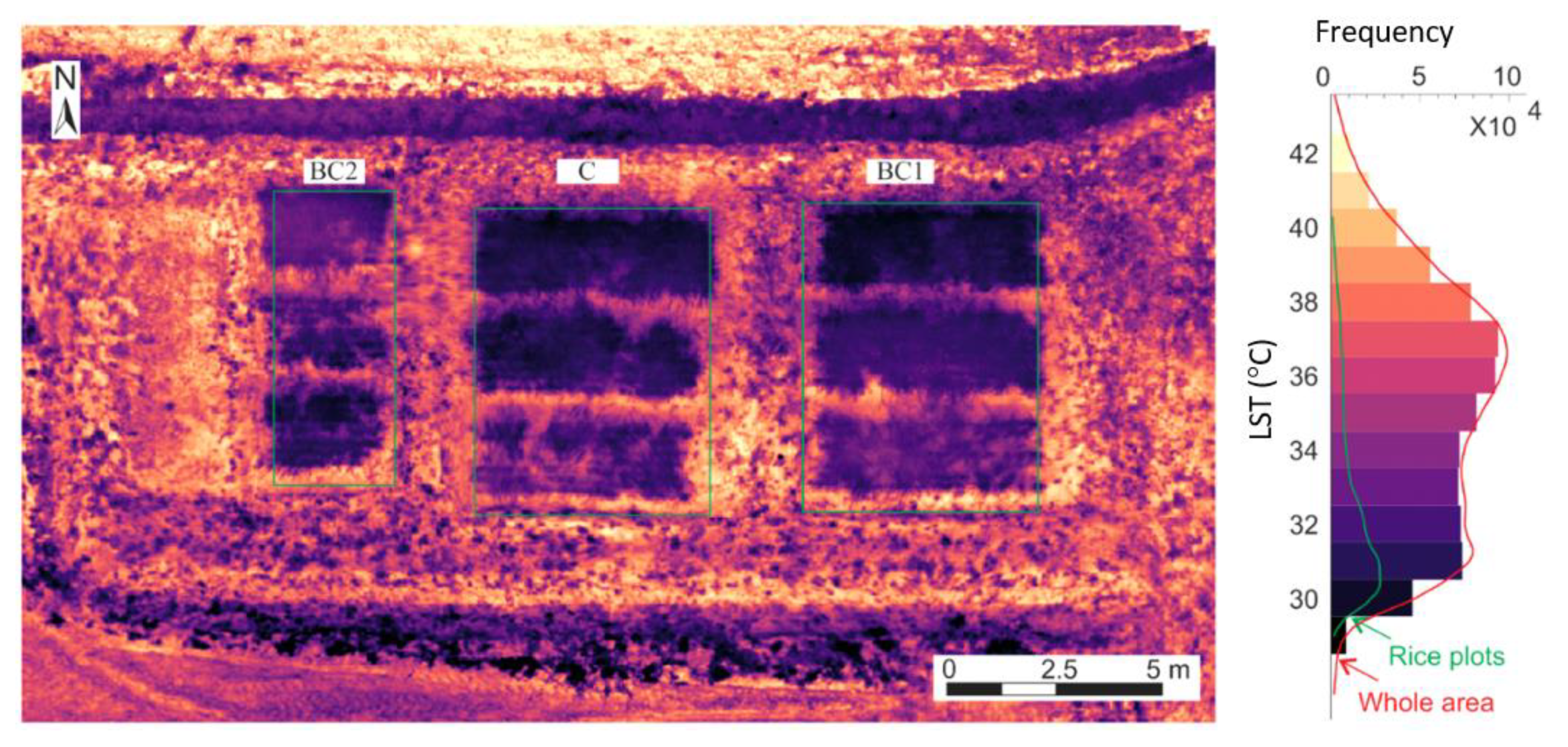 Remotesensing 13 01866 g003