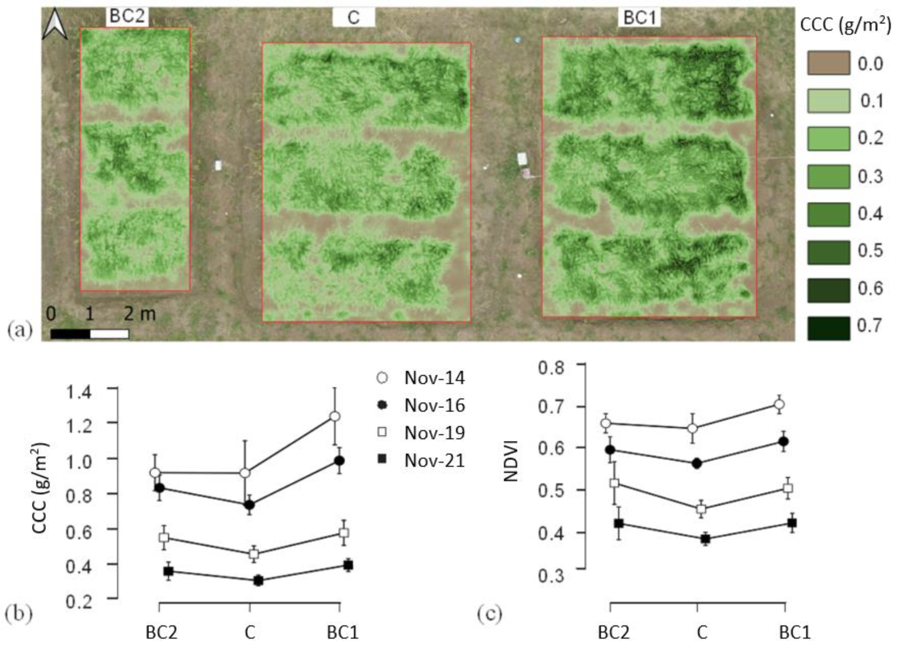 Remotesensing 13 01866 g006