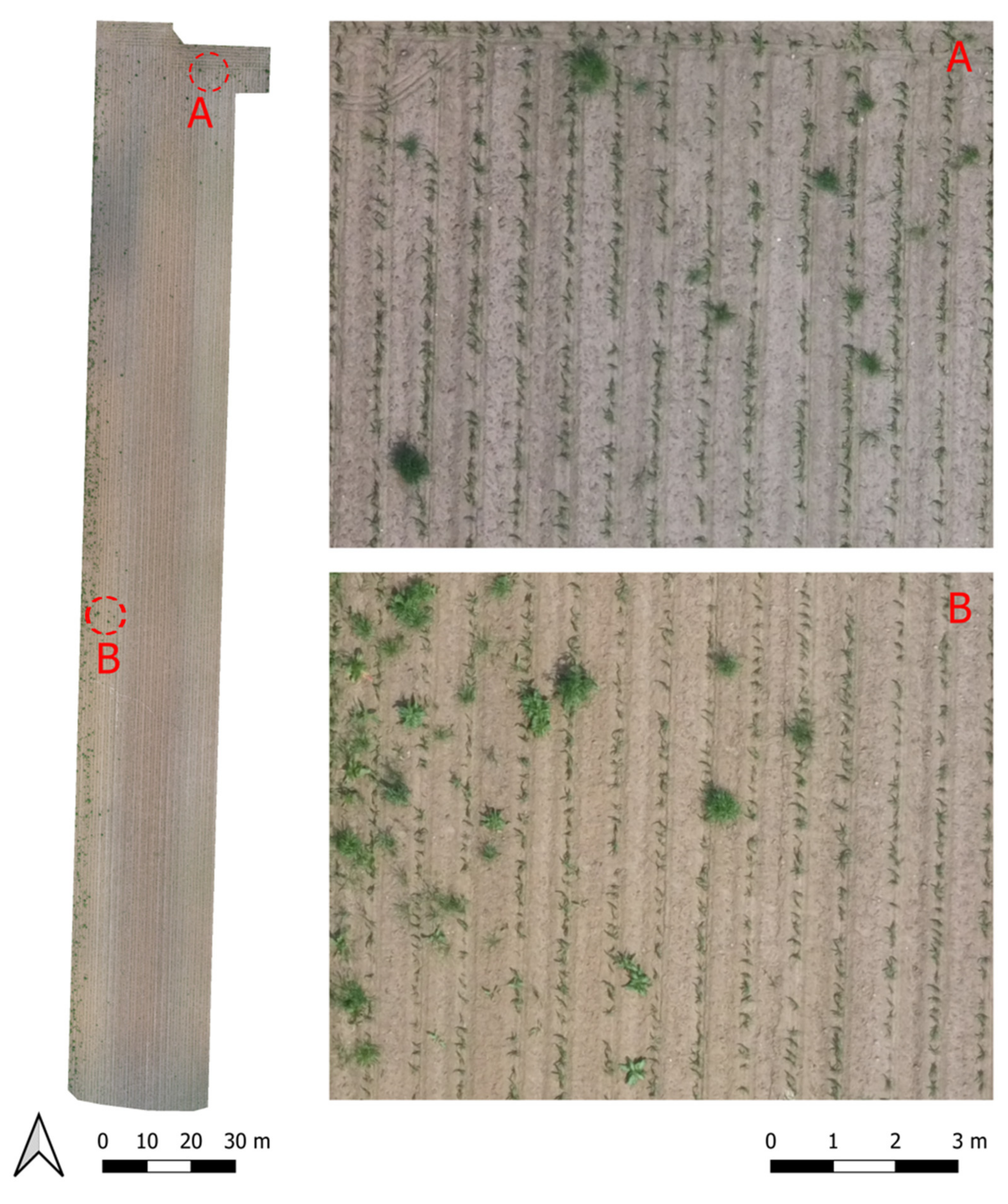 Remotesensing 13 01869 g005 Remotesensing 13 01869 g005