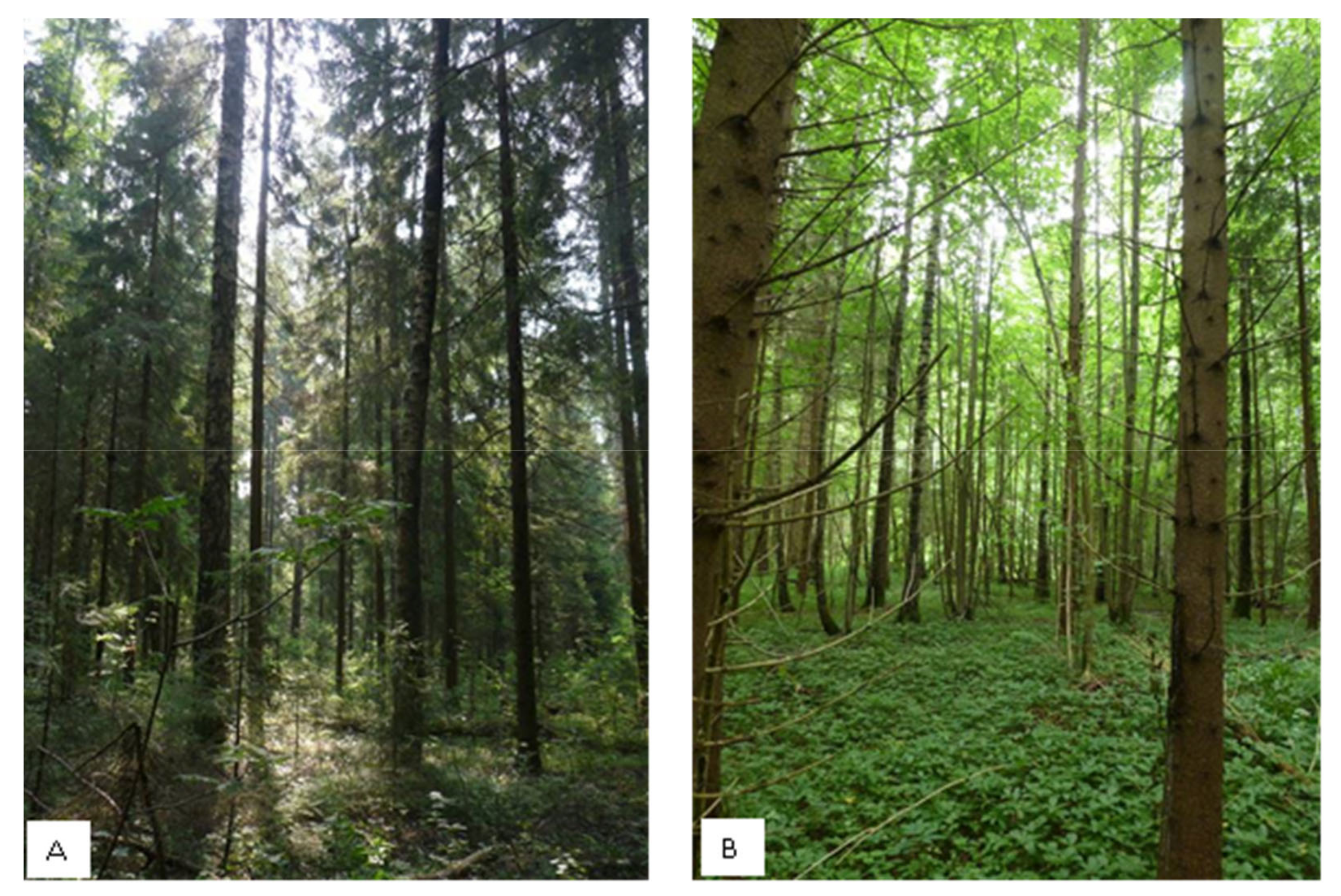 Remotesensing 13 01886 g003