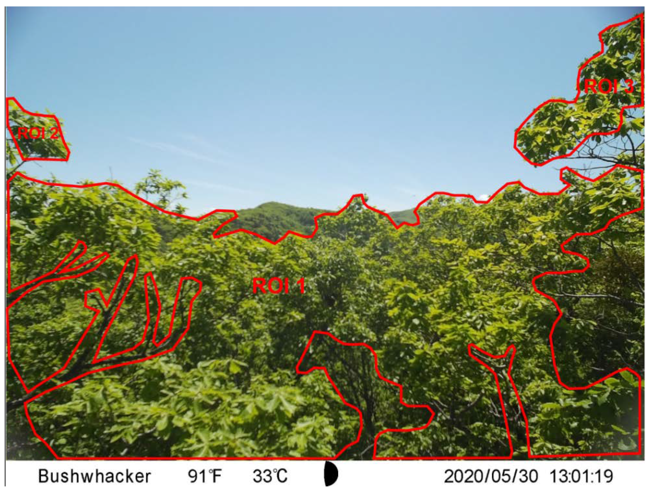 Remotesensing 13 01890 g002 Remotesensing 13 01890 g002