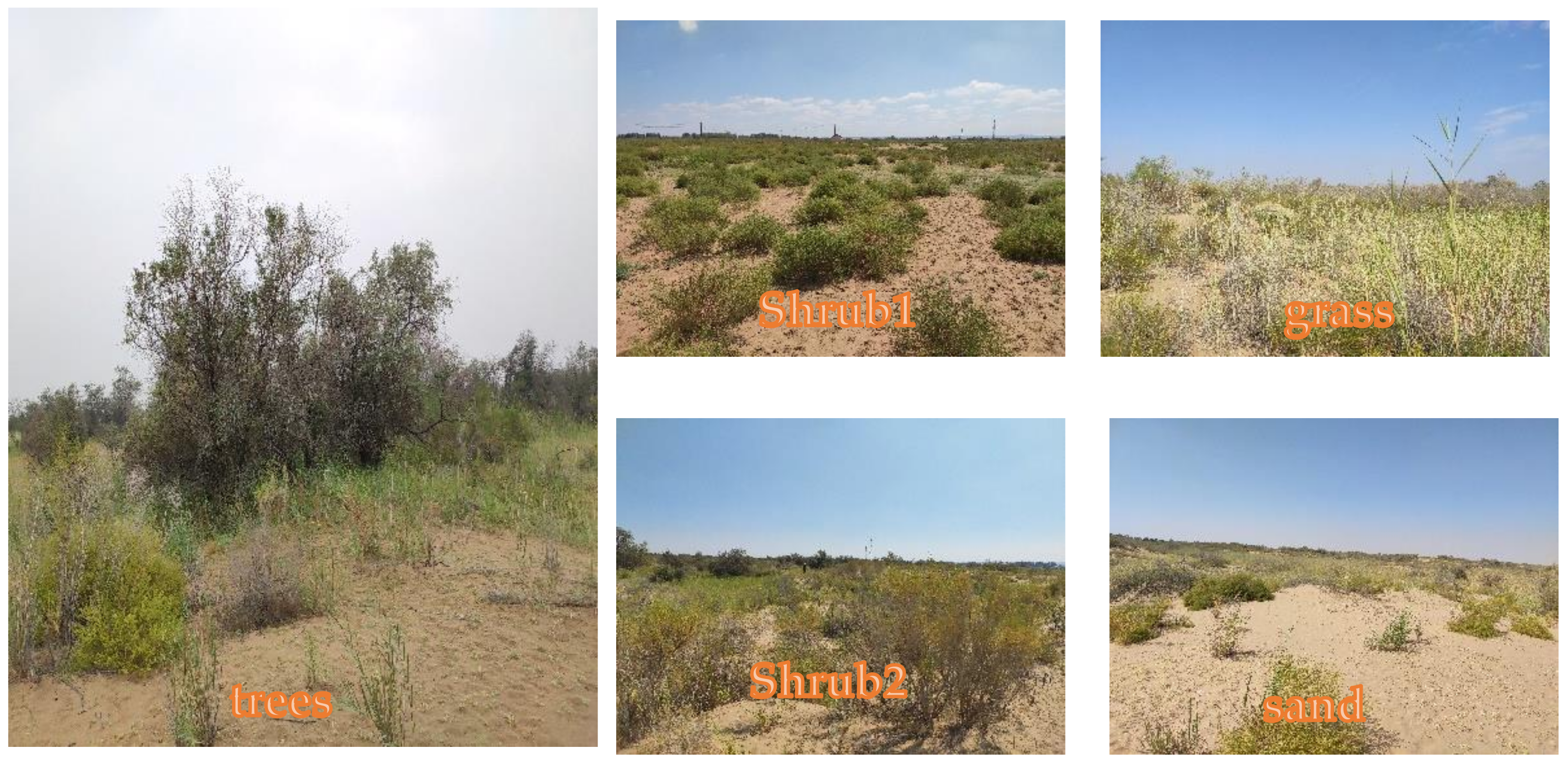 Remotesensing 13 01891 g004