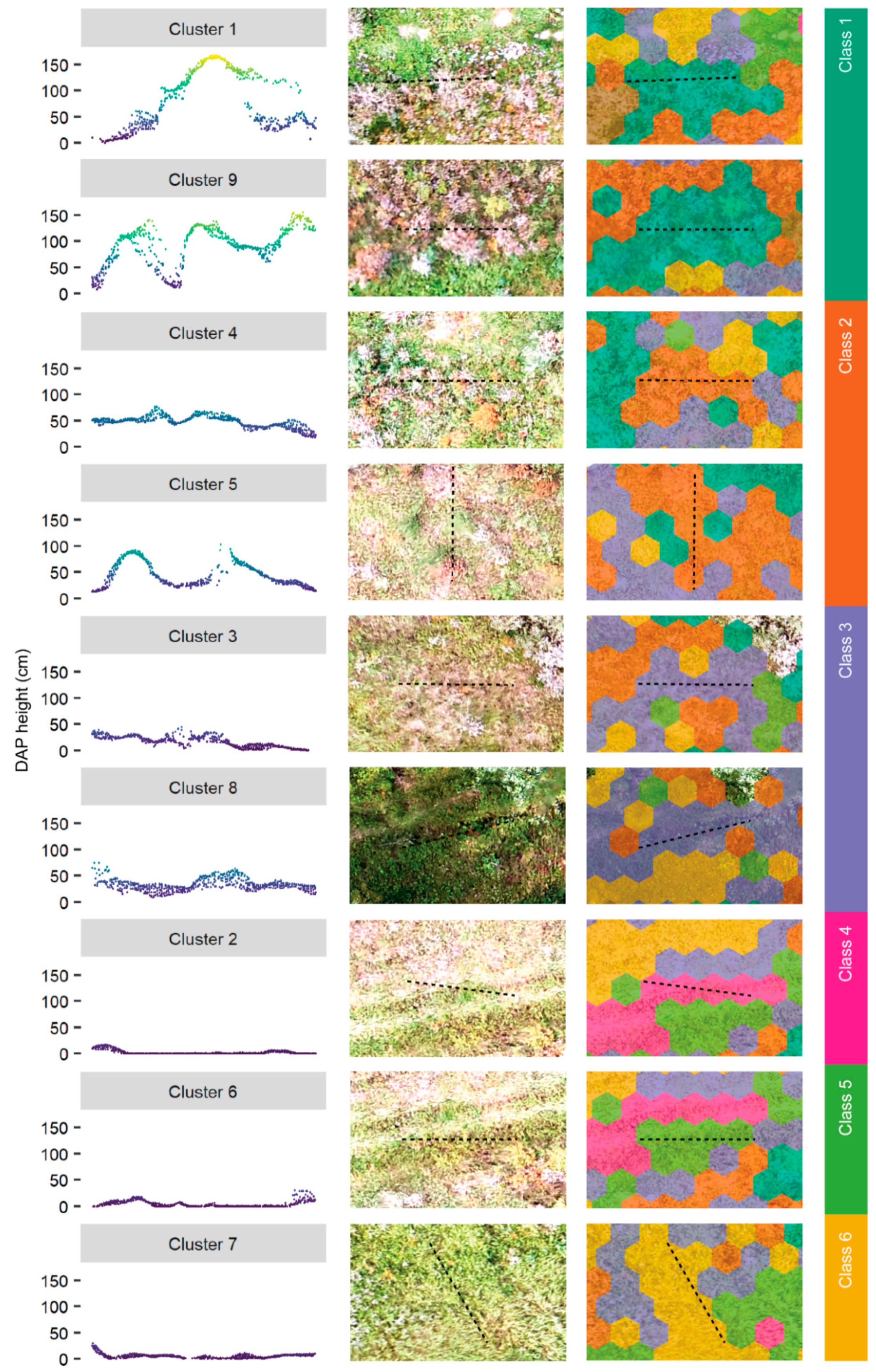 Remotesensing 13 01942 g008