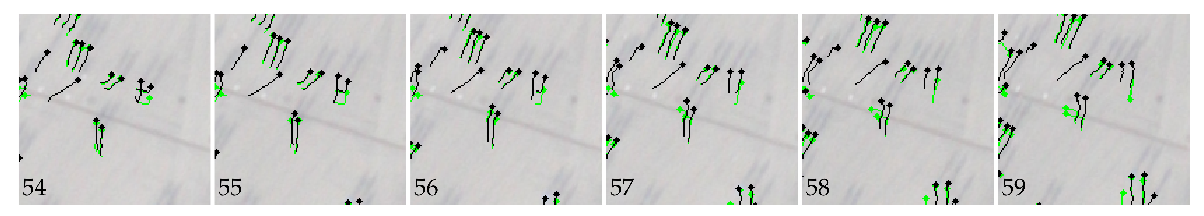 Remotesensing 13 01953 g008