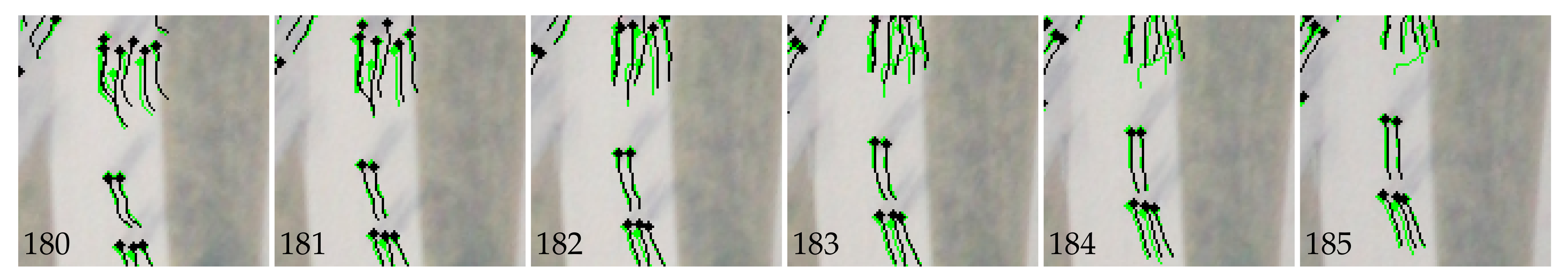 Remotesensing 13 01953 g009