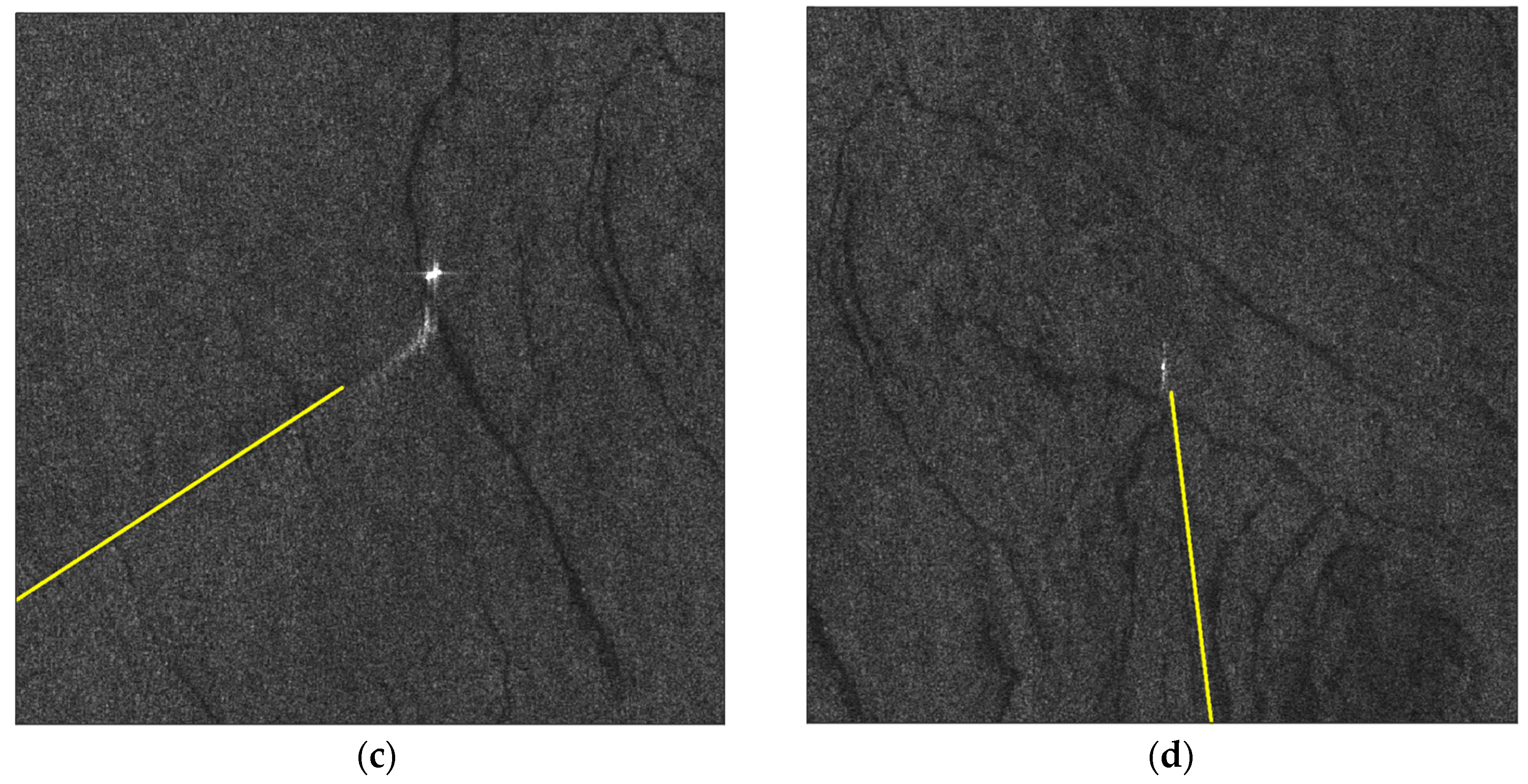 Remotesensing 13 01955 g006b Remotesensing 13 01955 g006b