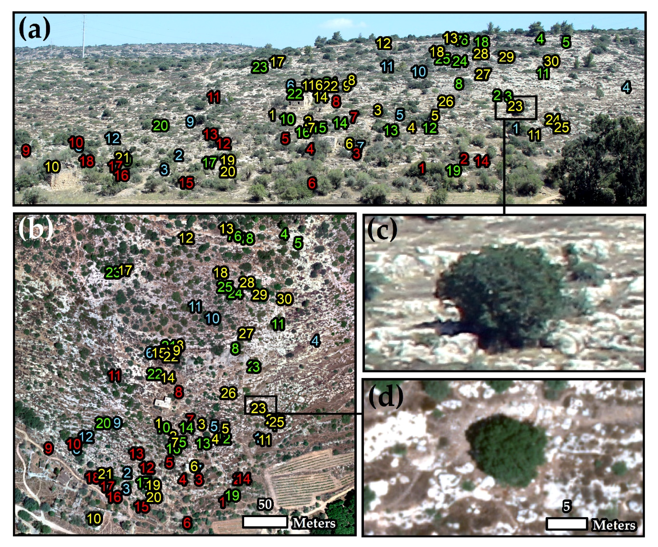 Remotesensing 13 01958 g004