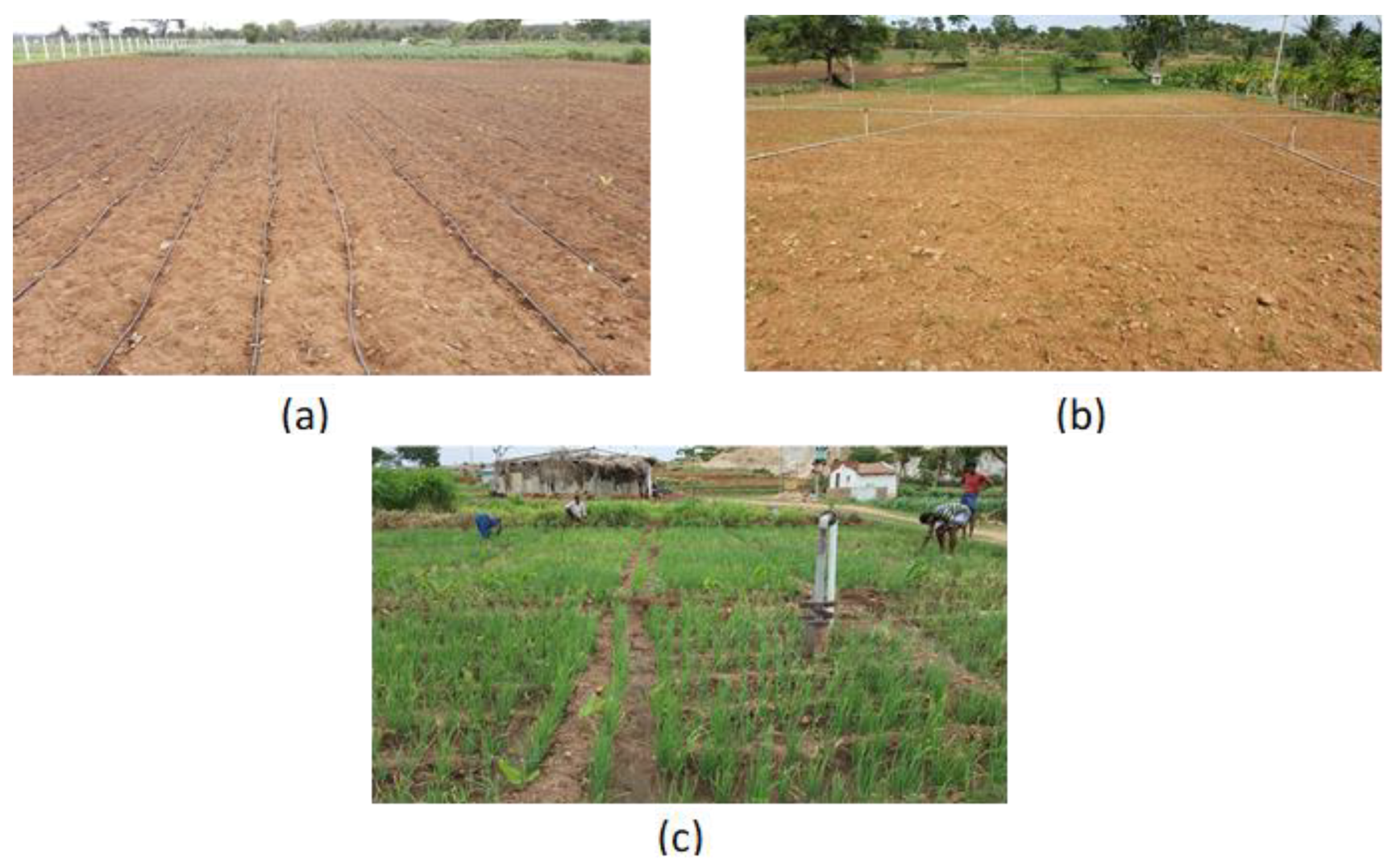 Remotesensing 13 01960 g0a1 Remotesensing 13 01960 g0a1