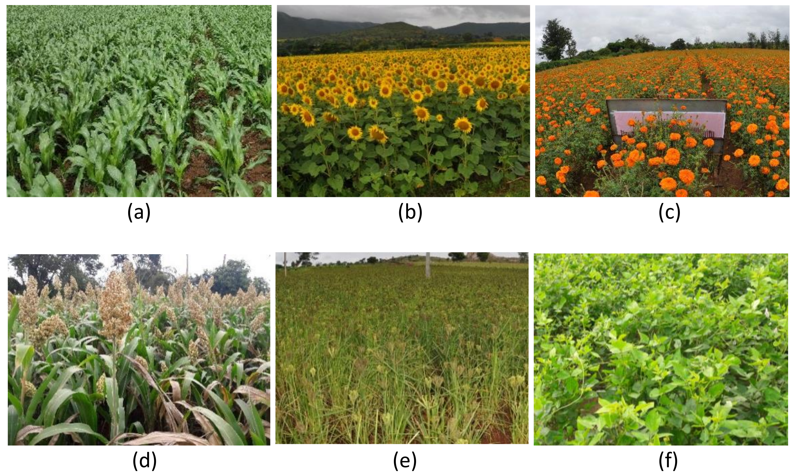 Remotesensing 13 01960 g0a2 Remotesensing 13 01960 g0a2