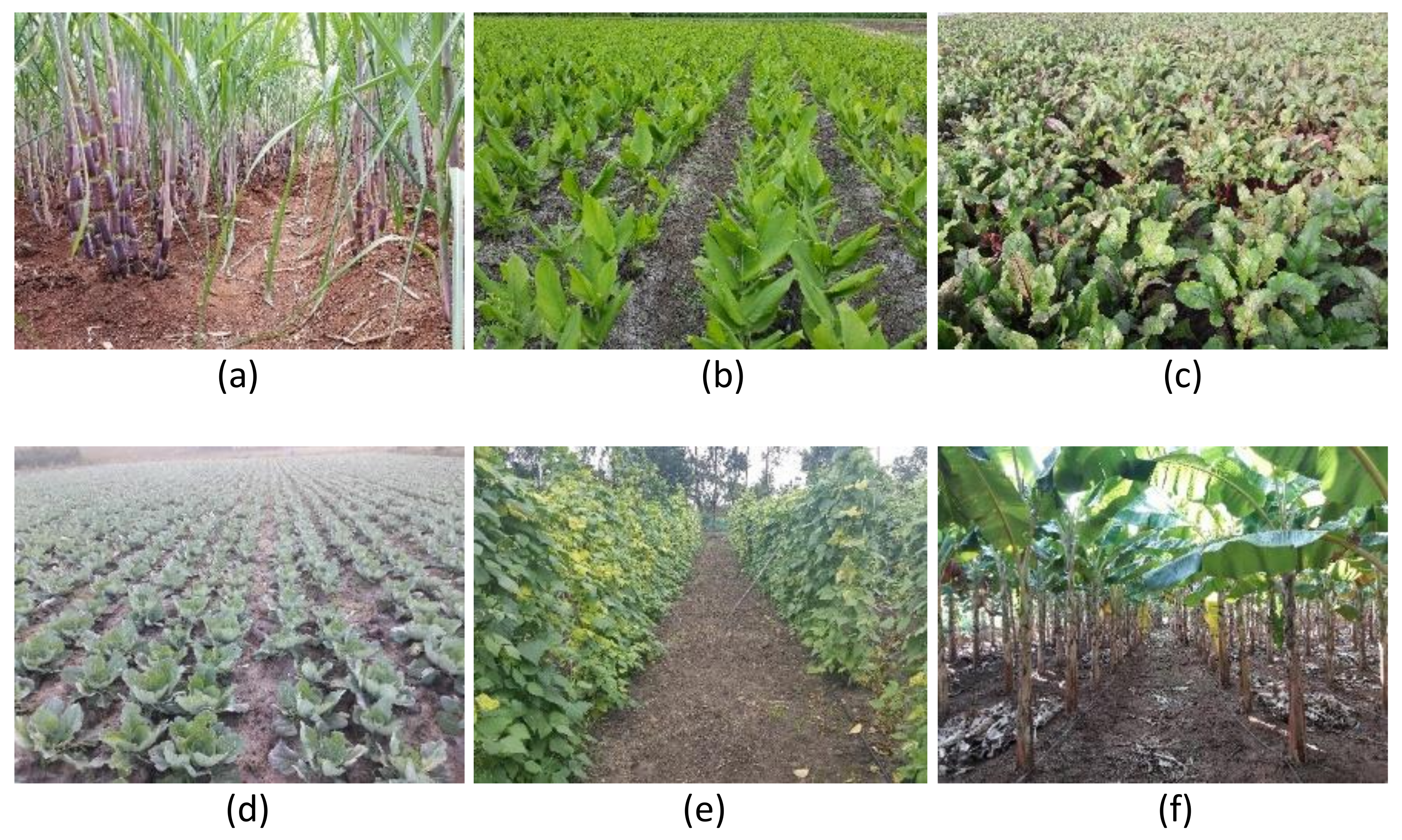 Remotesensing 13 01960 g0a3 Remotesensing 13 01960 g0a3