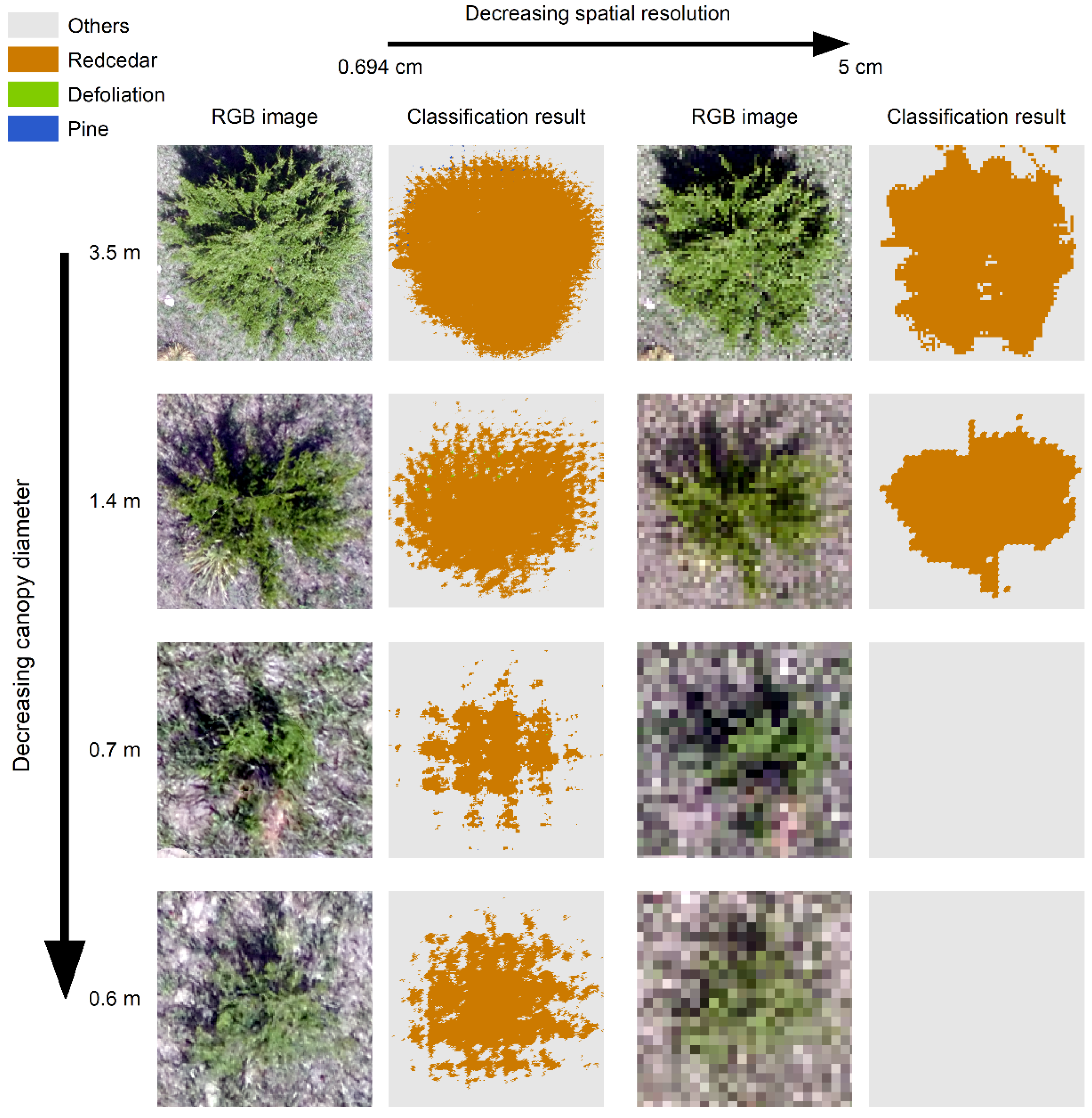 Remotesensing 13 01975 g007