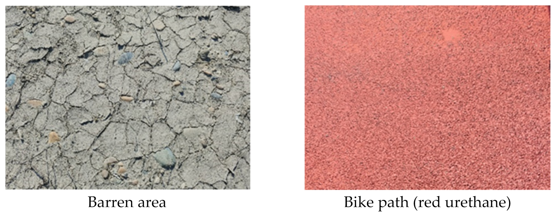 Remotesensing 13 01977 g003b