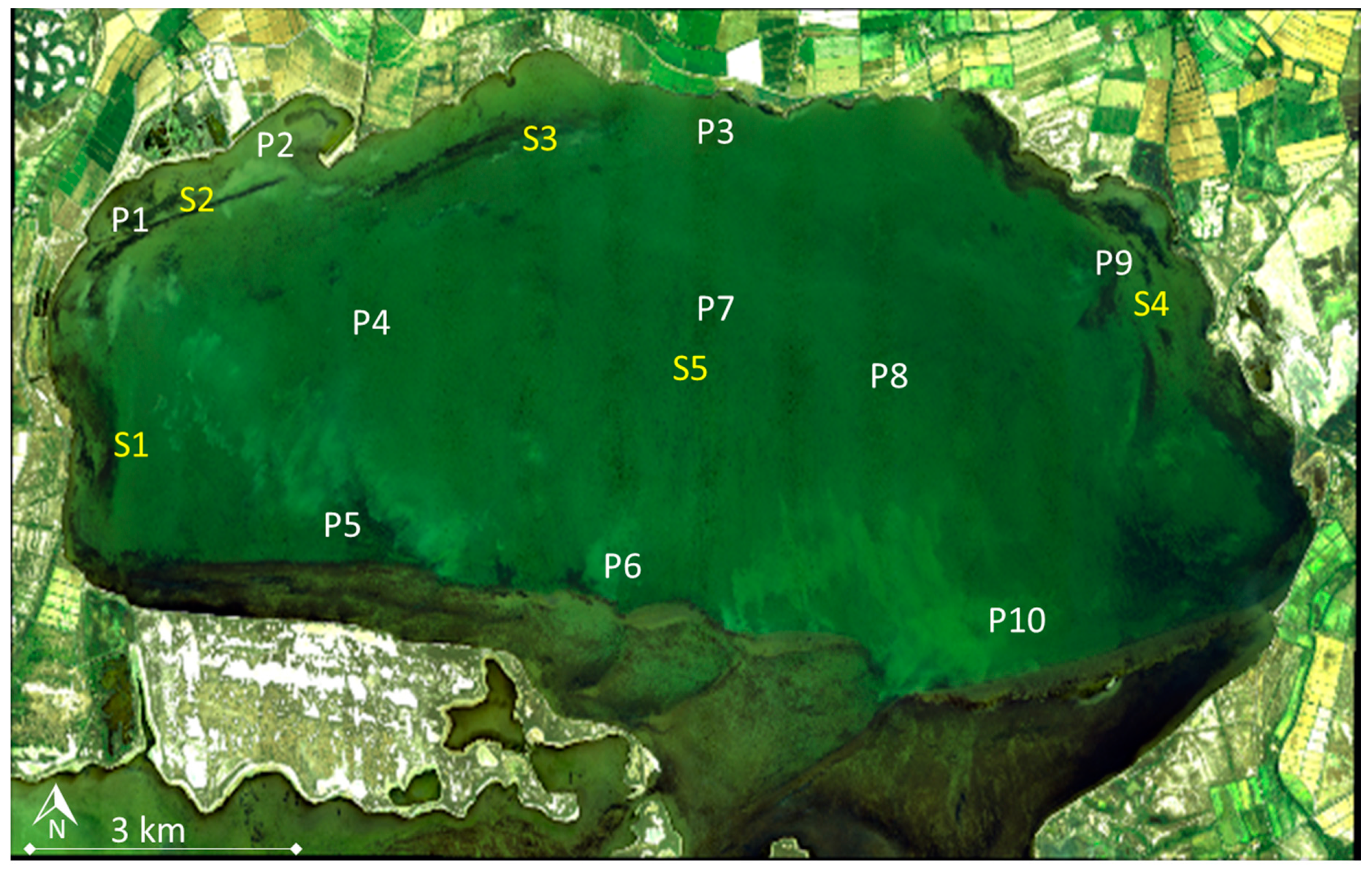 Remotesensing 13 01999 g002 Remotesensing 13 01999 g002